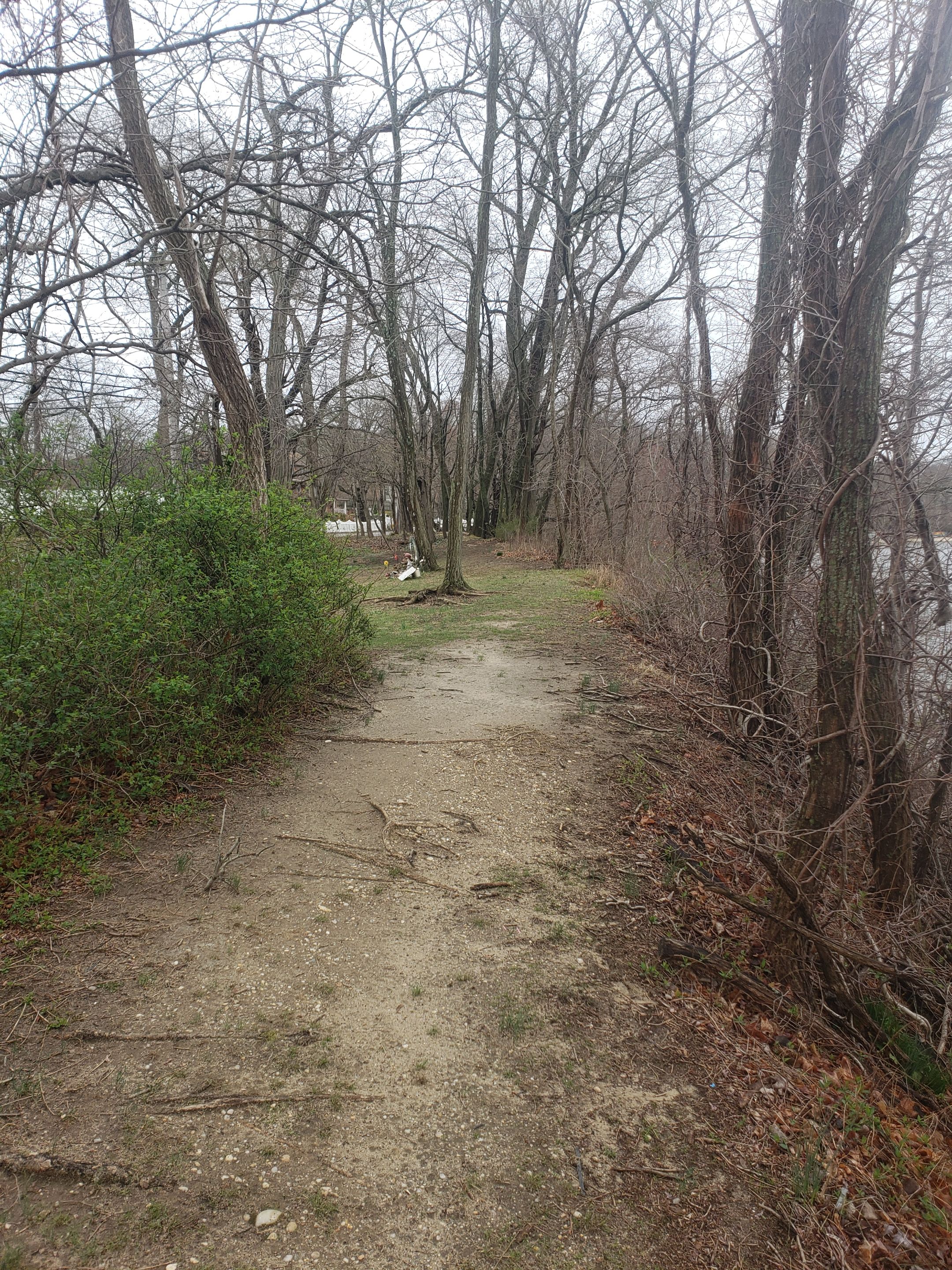 20250406_115828 - Copy.jpg