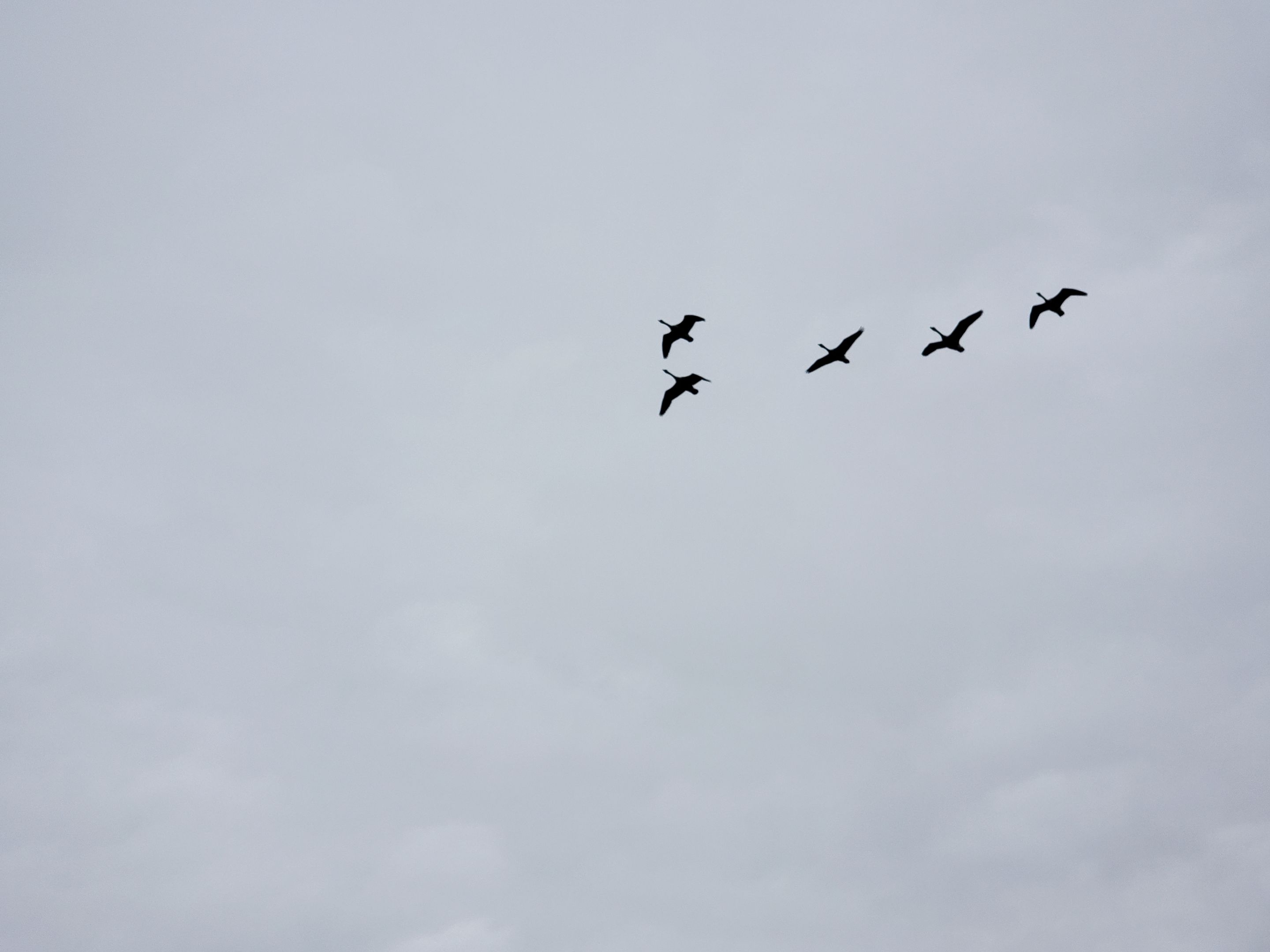 20250406_115122.jpg