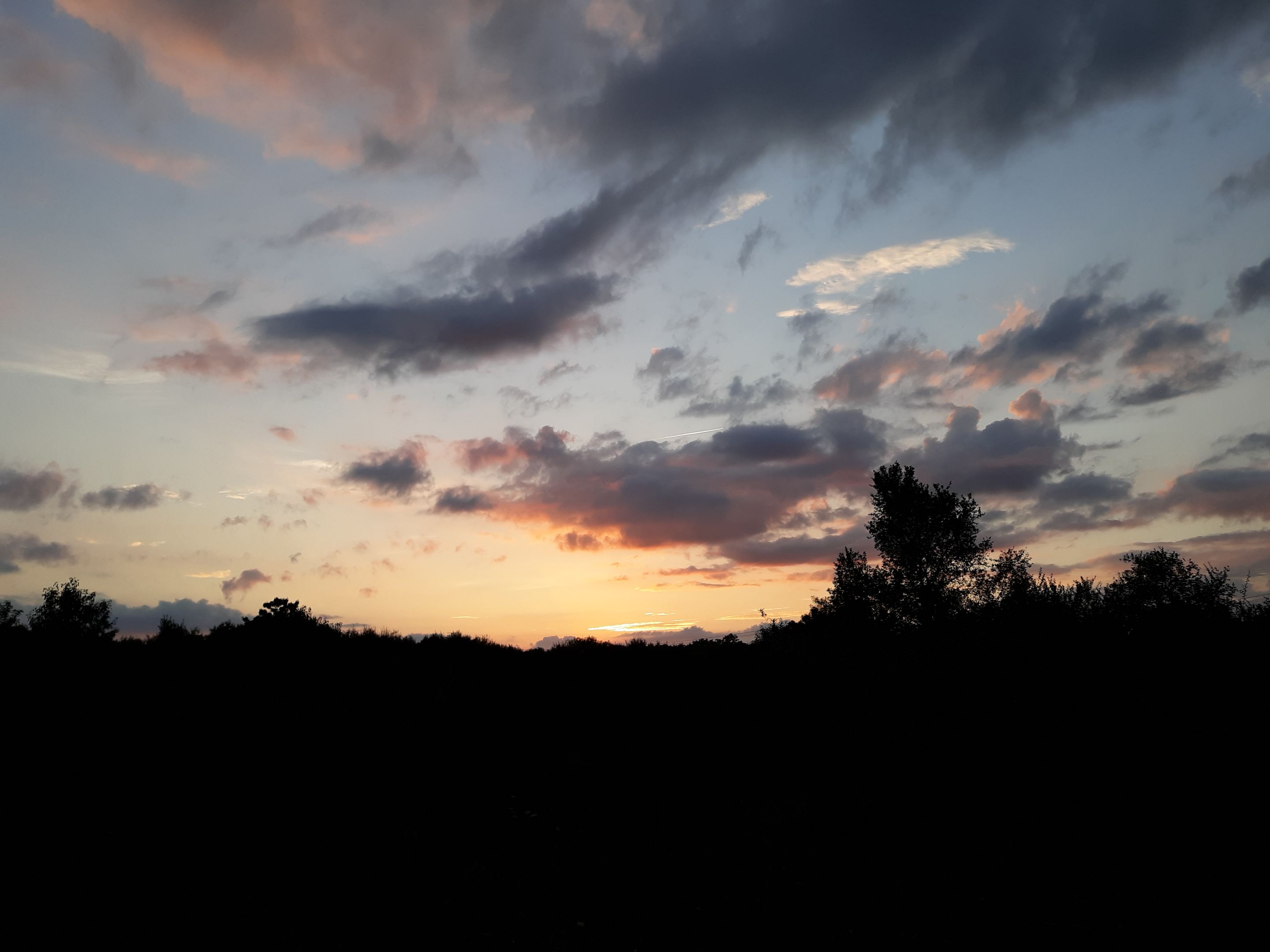 20210814_193918.jpg