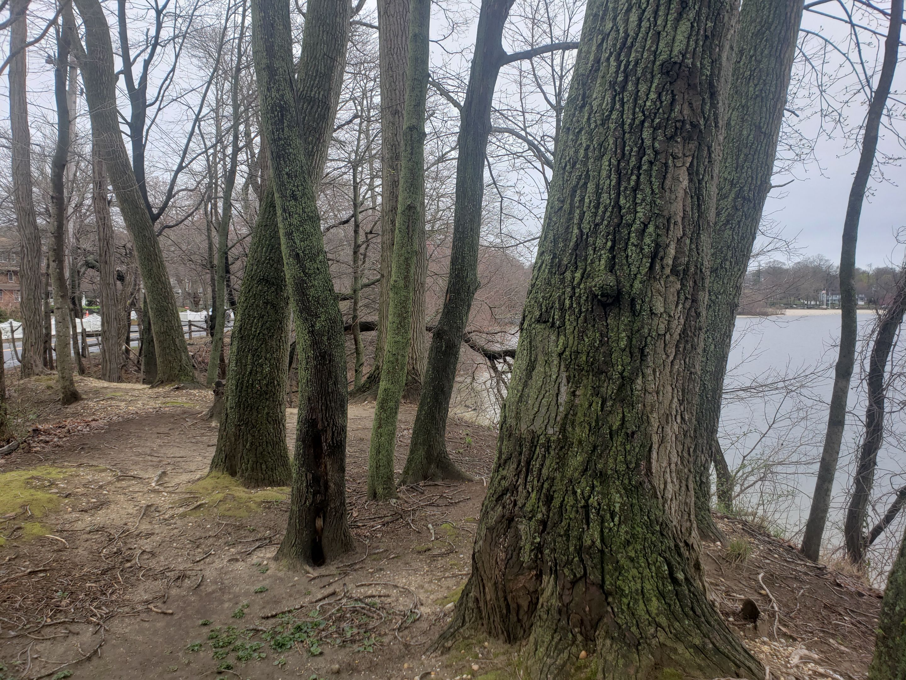 20250406_115941 - Copy.jpg