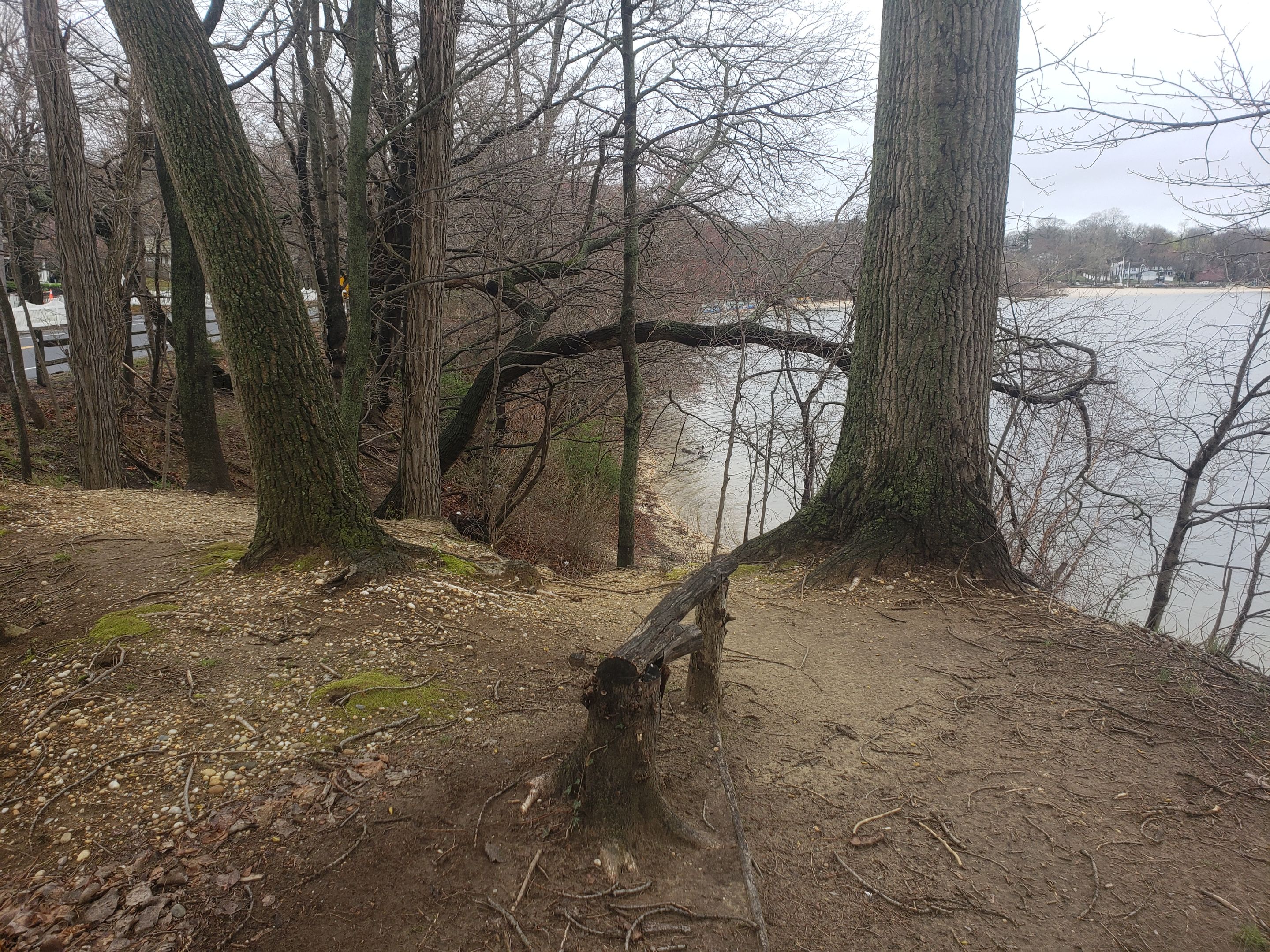 20250406_115951 - Copy.jpg