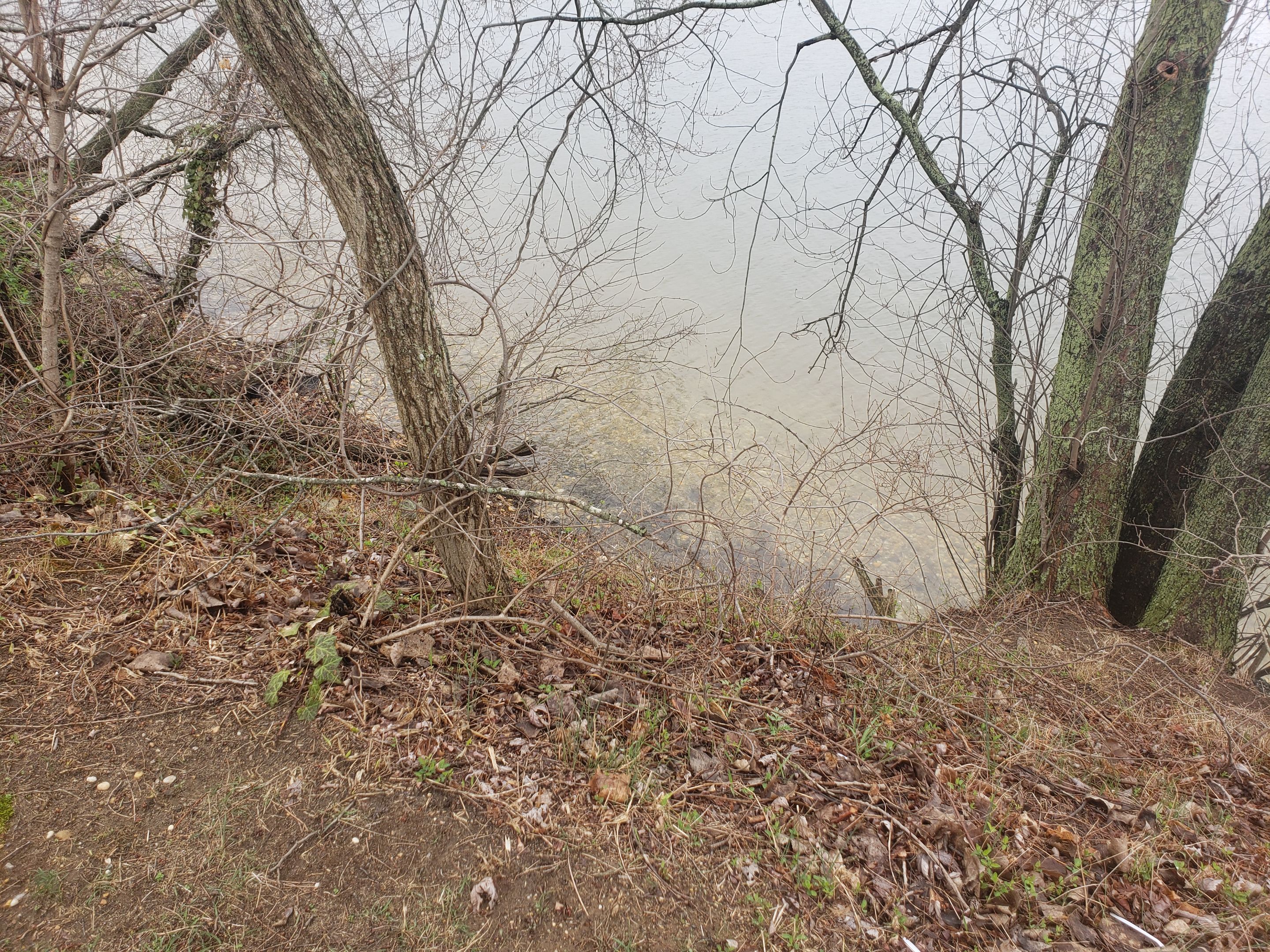 20250406_115739 - Copy.jpg