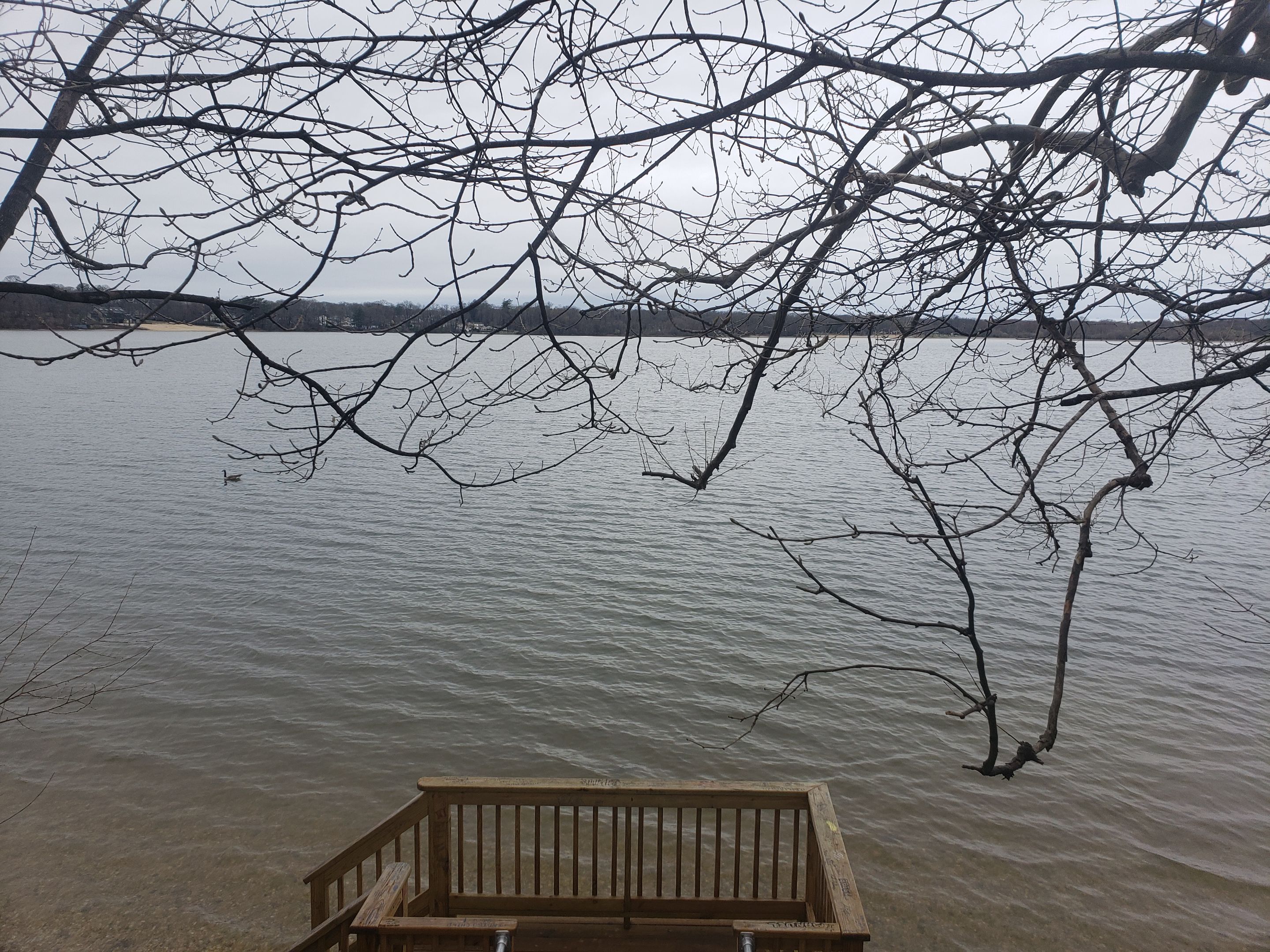 20250406_114902 - Copy.jpg