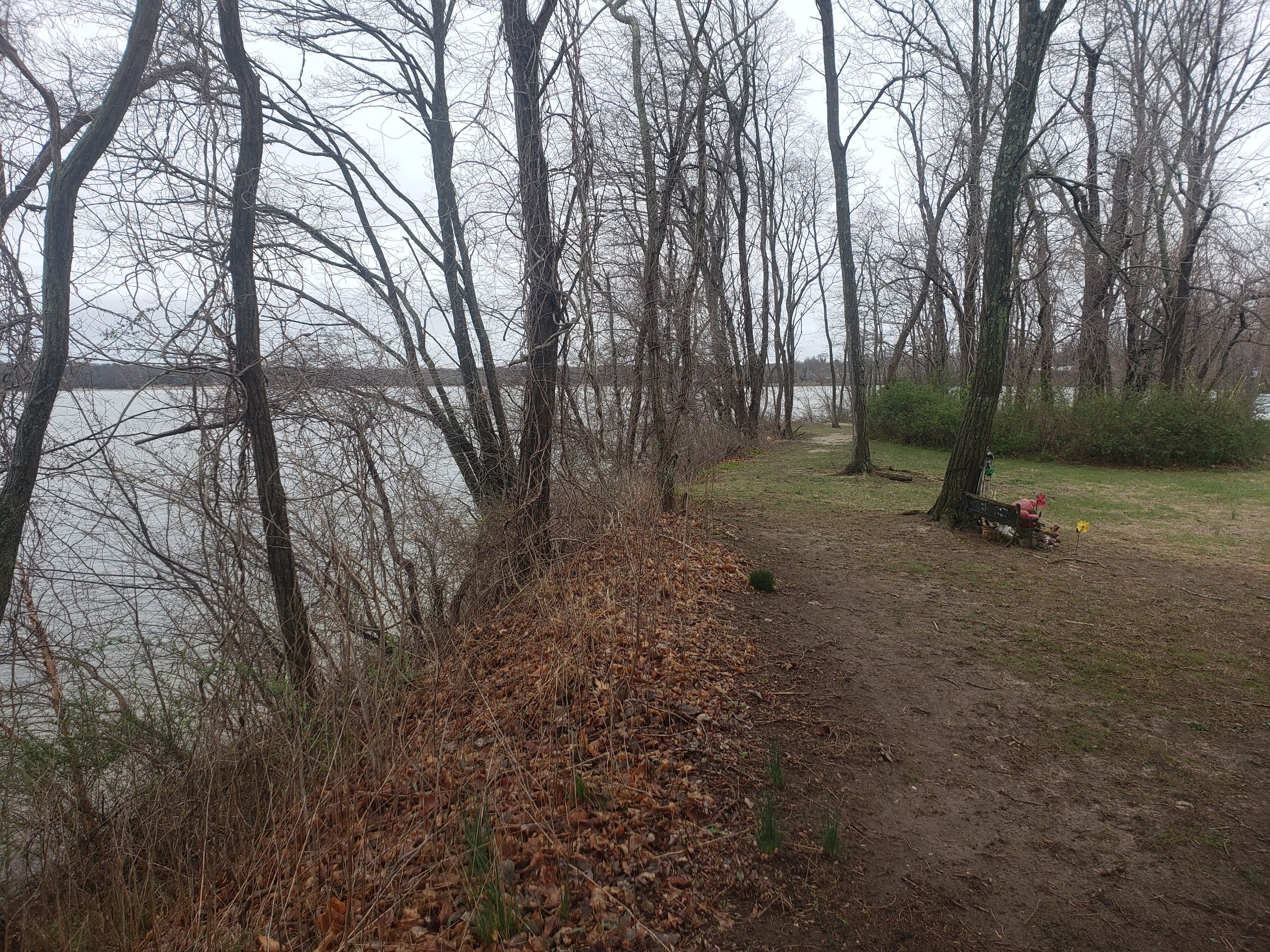 20250406_115929 - Copy.jpg