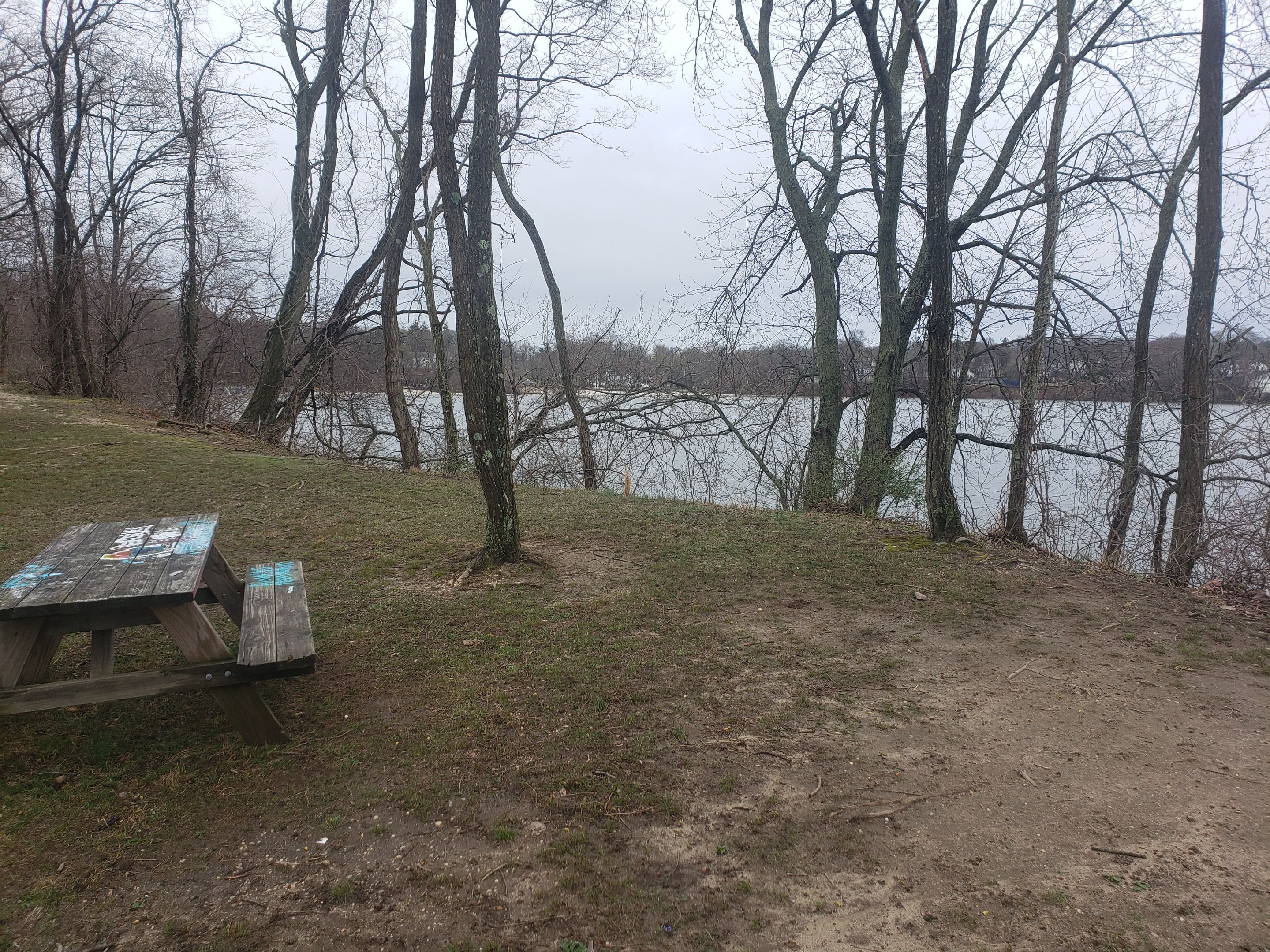 20250406_115712 - Copy.jpg