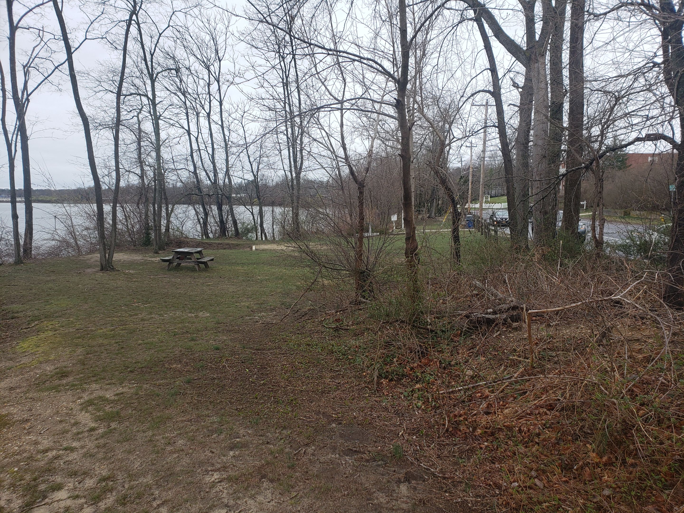 20250406_115833 - Copy.jpg