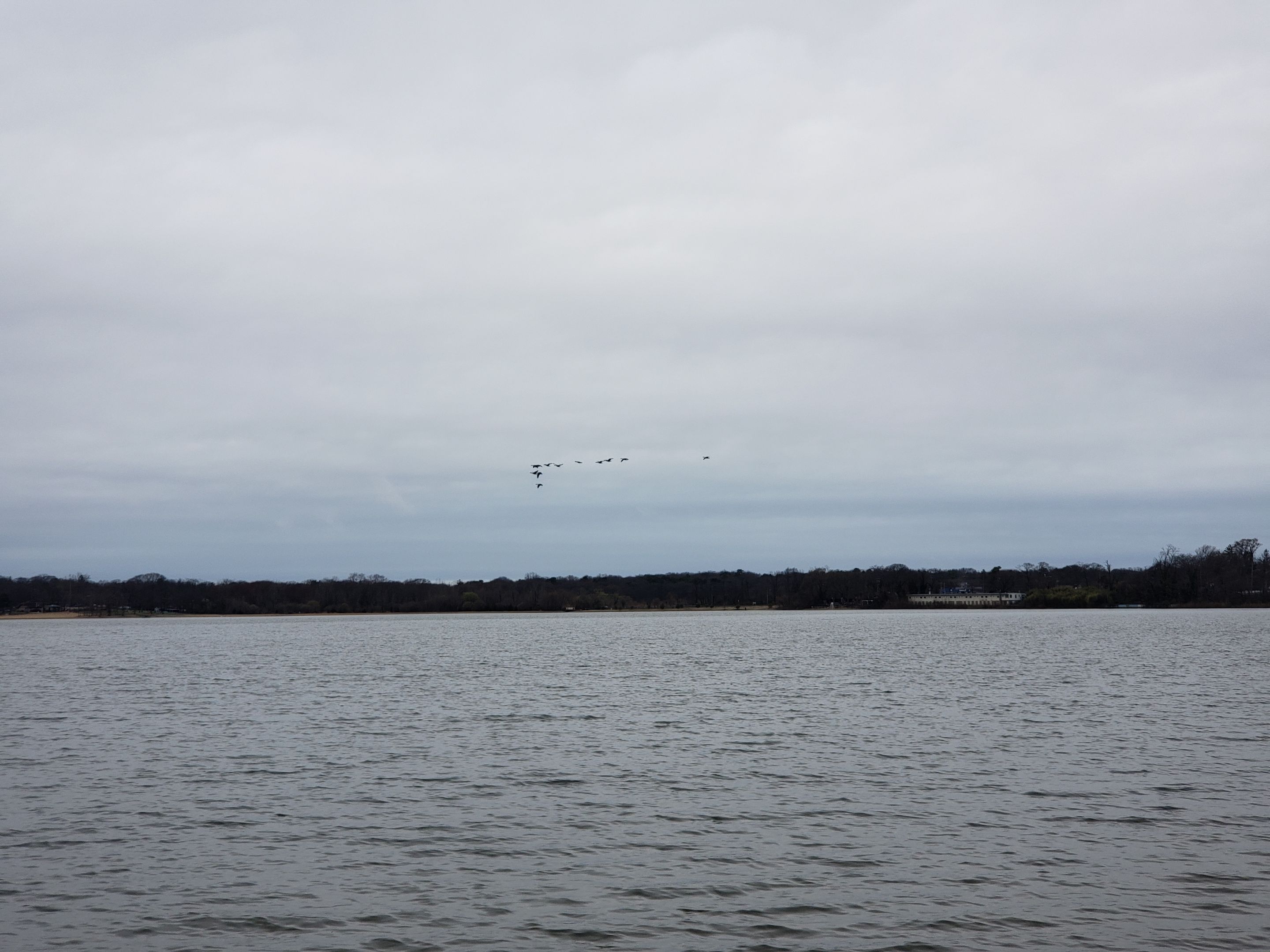 20250406_115113 - Copy.jpg