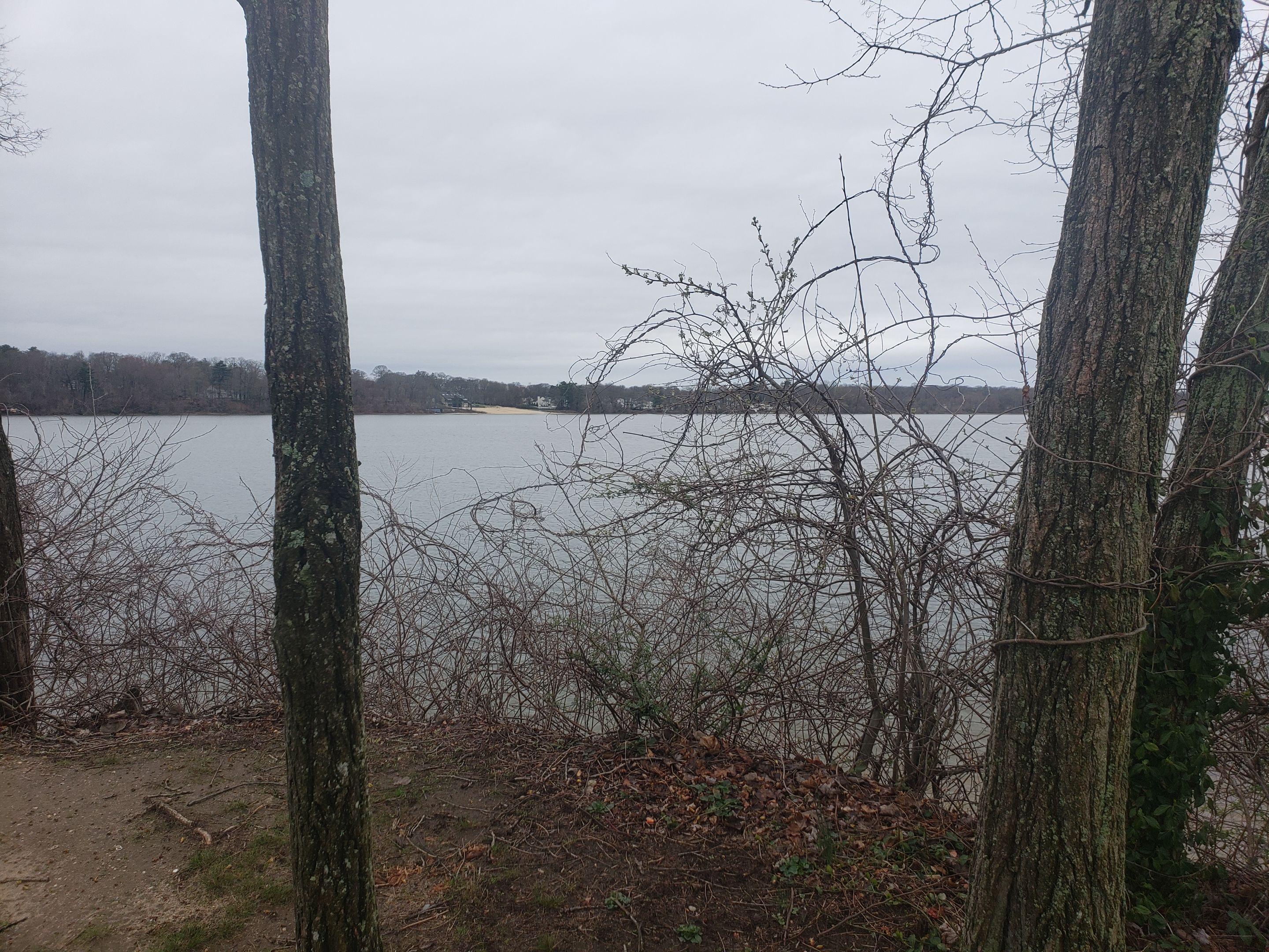 20250406_115715 - Copy.jpg