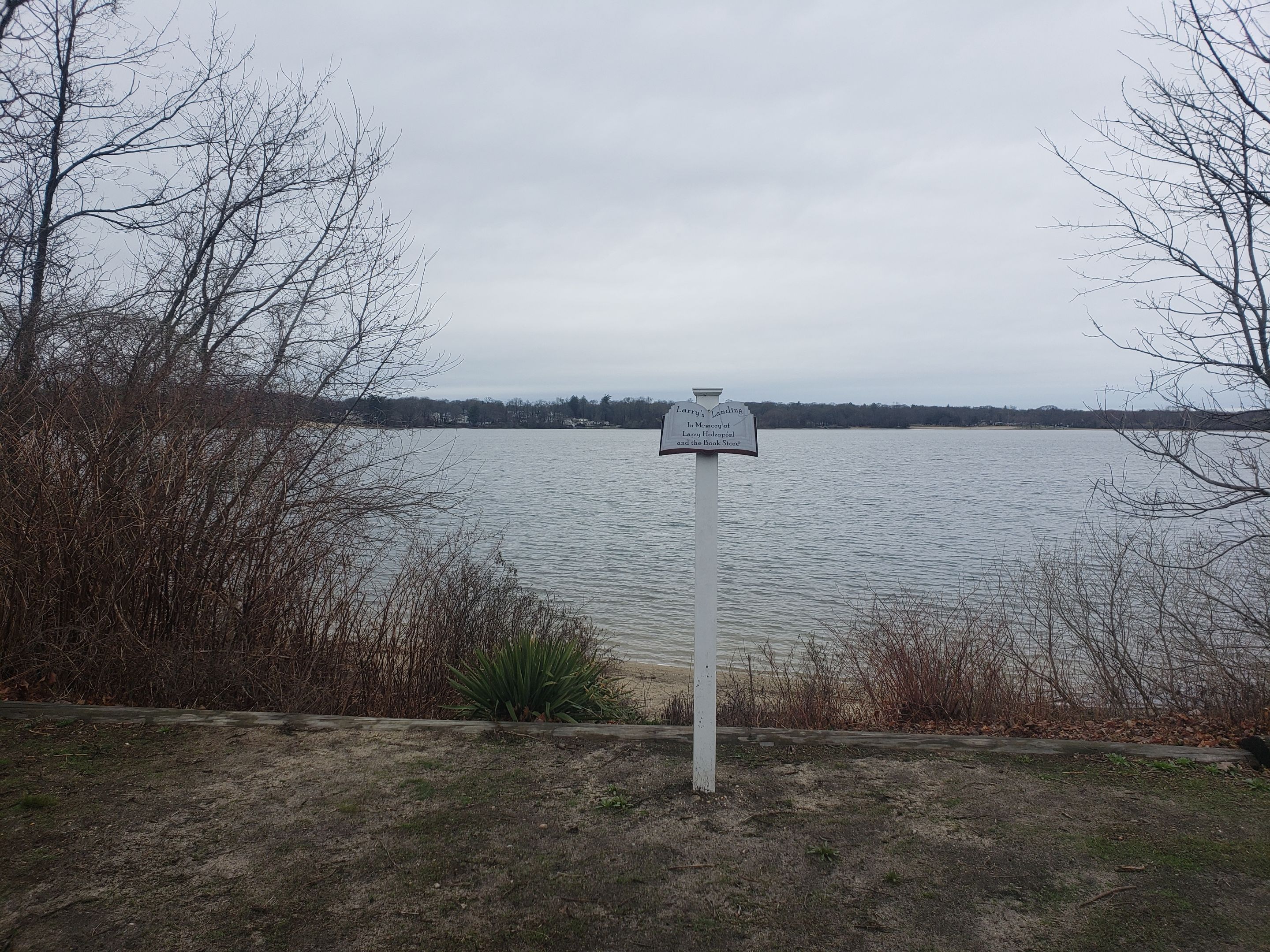 20250406_114800 - Copy.jpg
