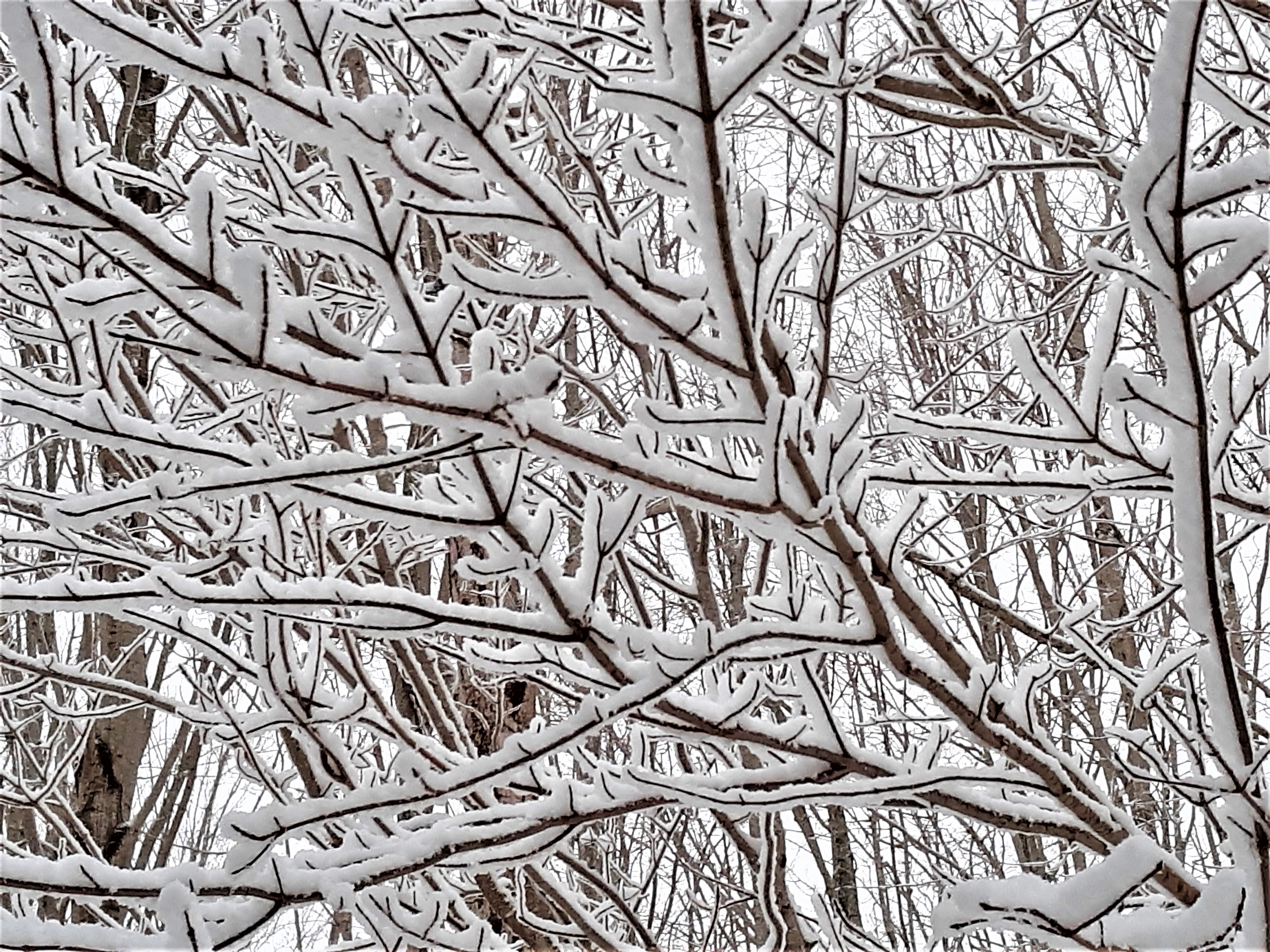 20210207_163107 2.jpg