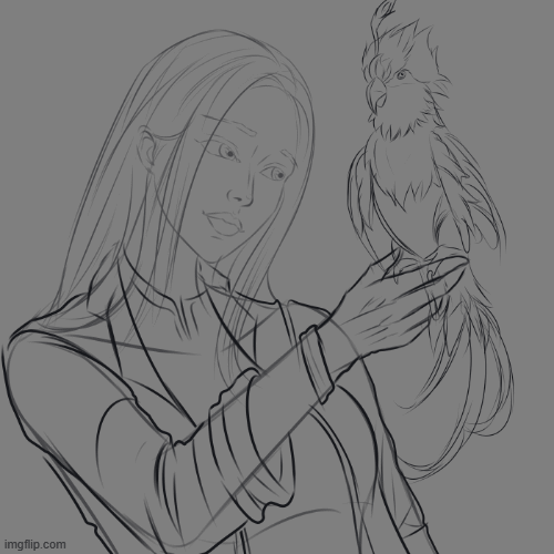 PROCESS.gif