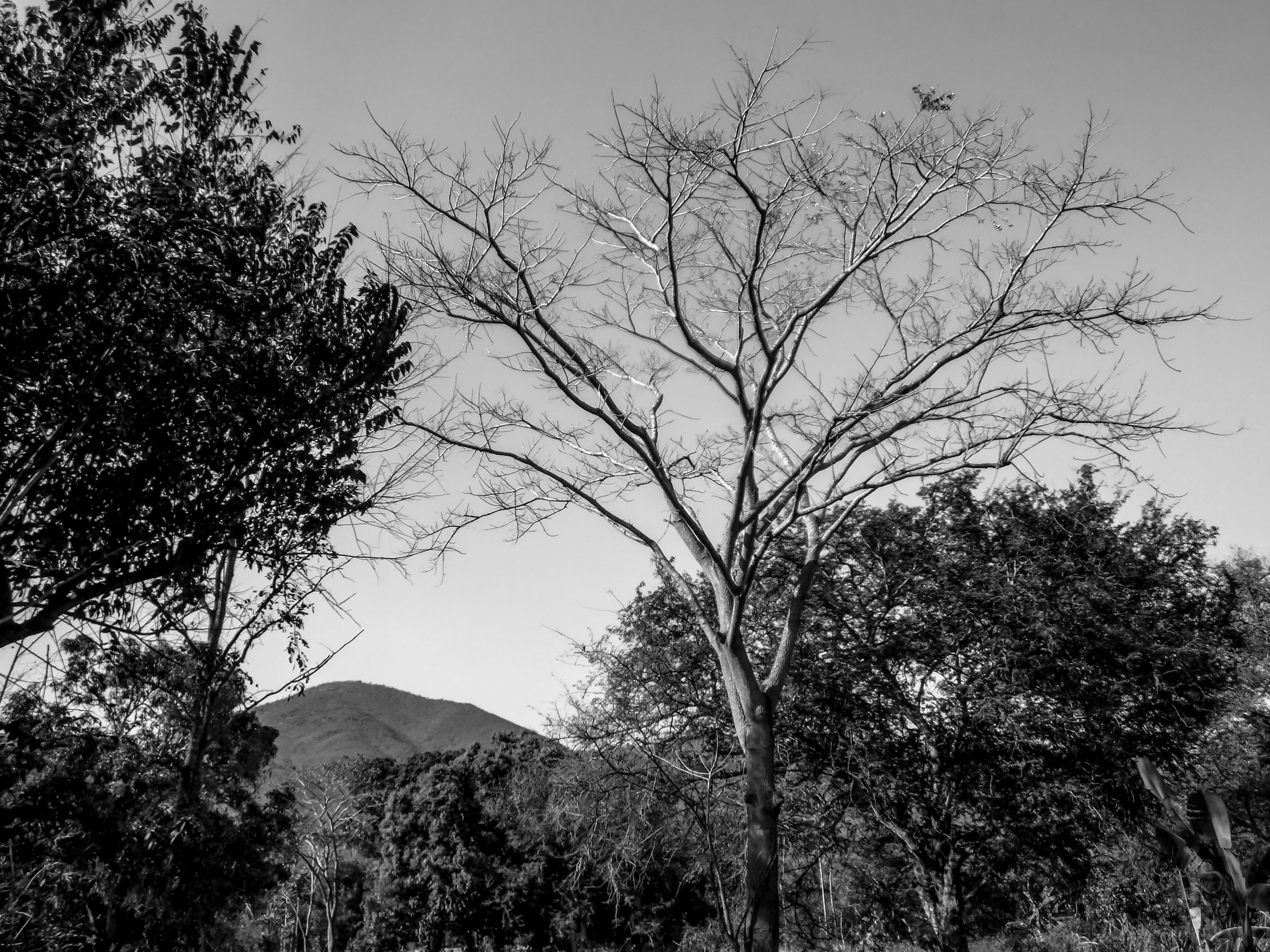 PAISAJE DE MONTAÑA S-4.jpg