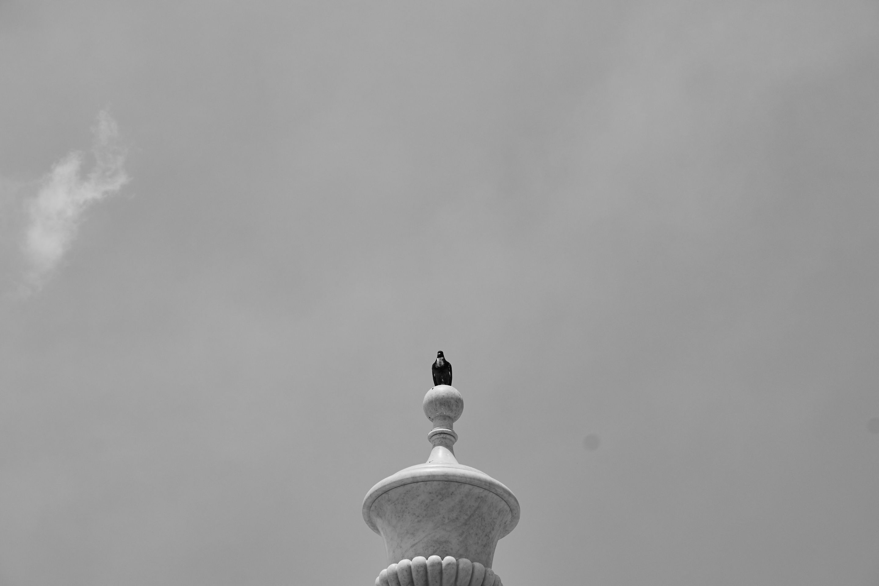 IMG_9001.jpg