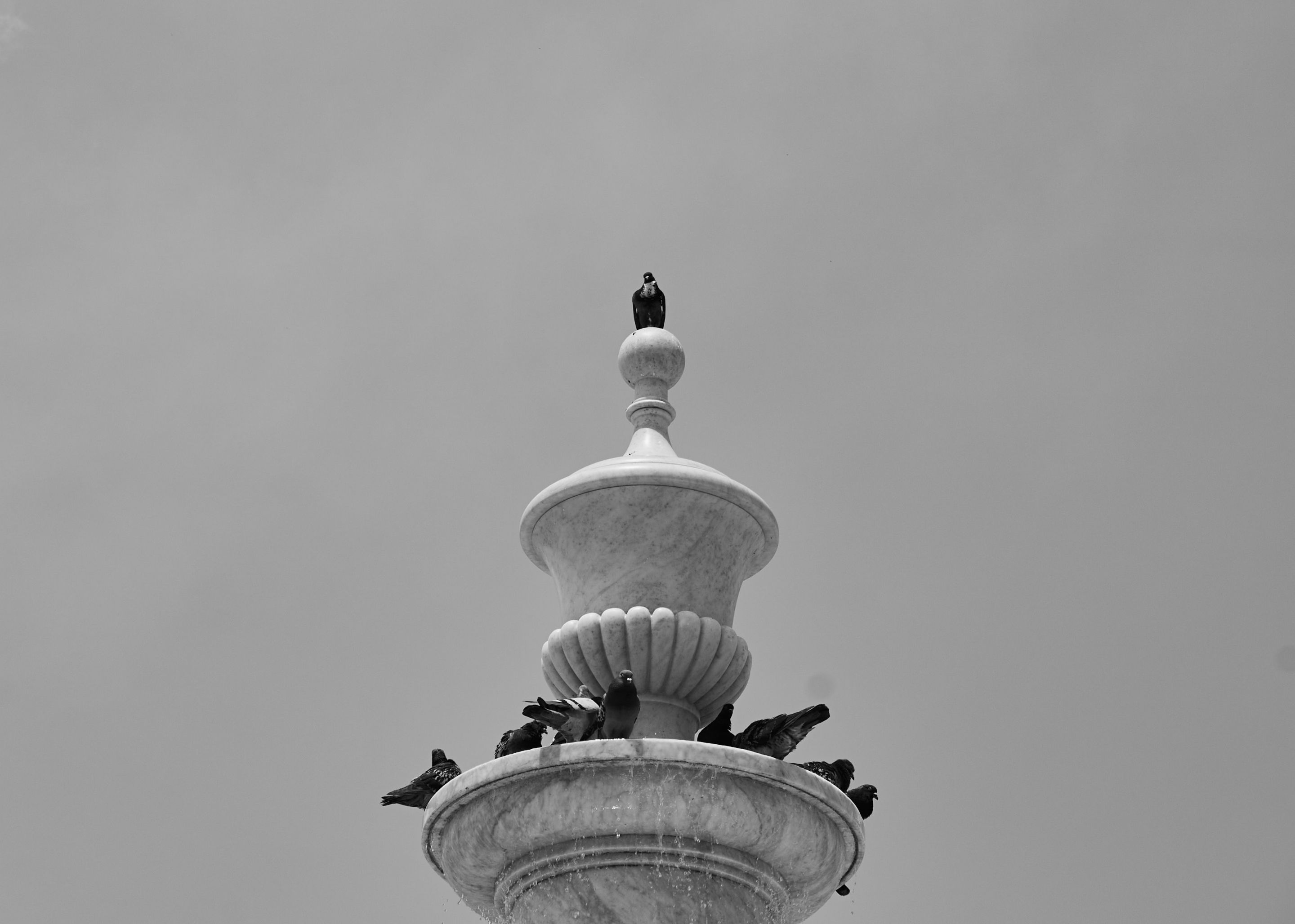 IMG_8997.jpg