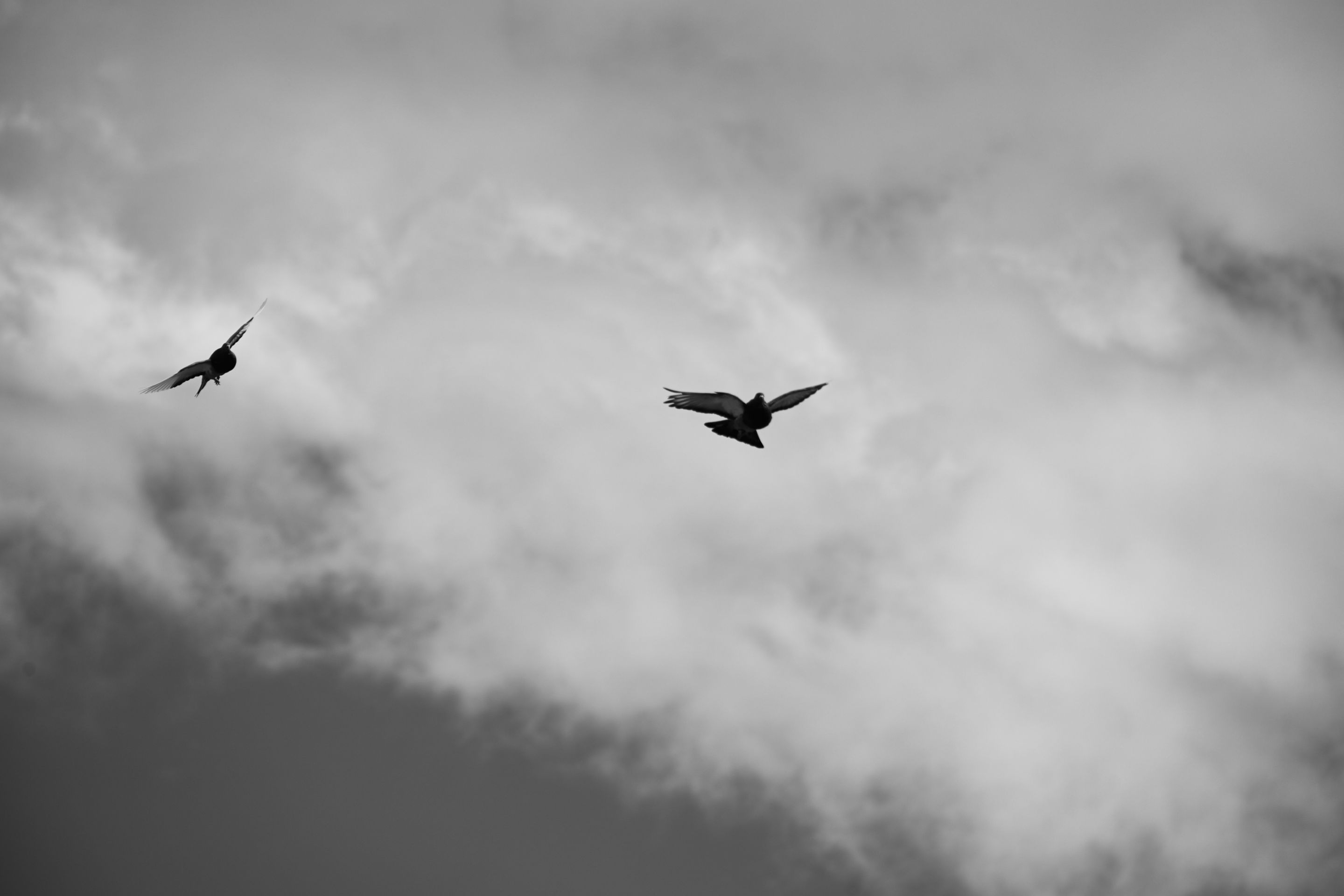 IMG_0258.jpg