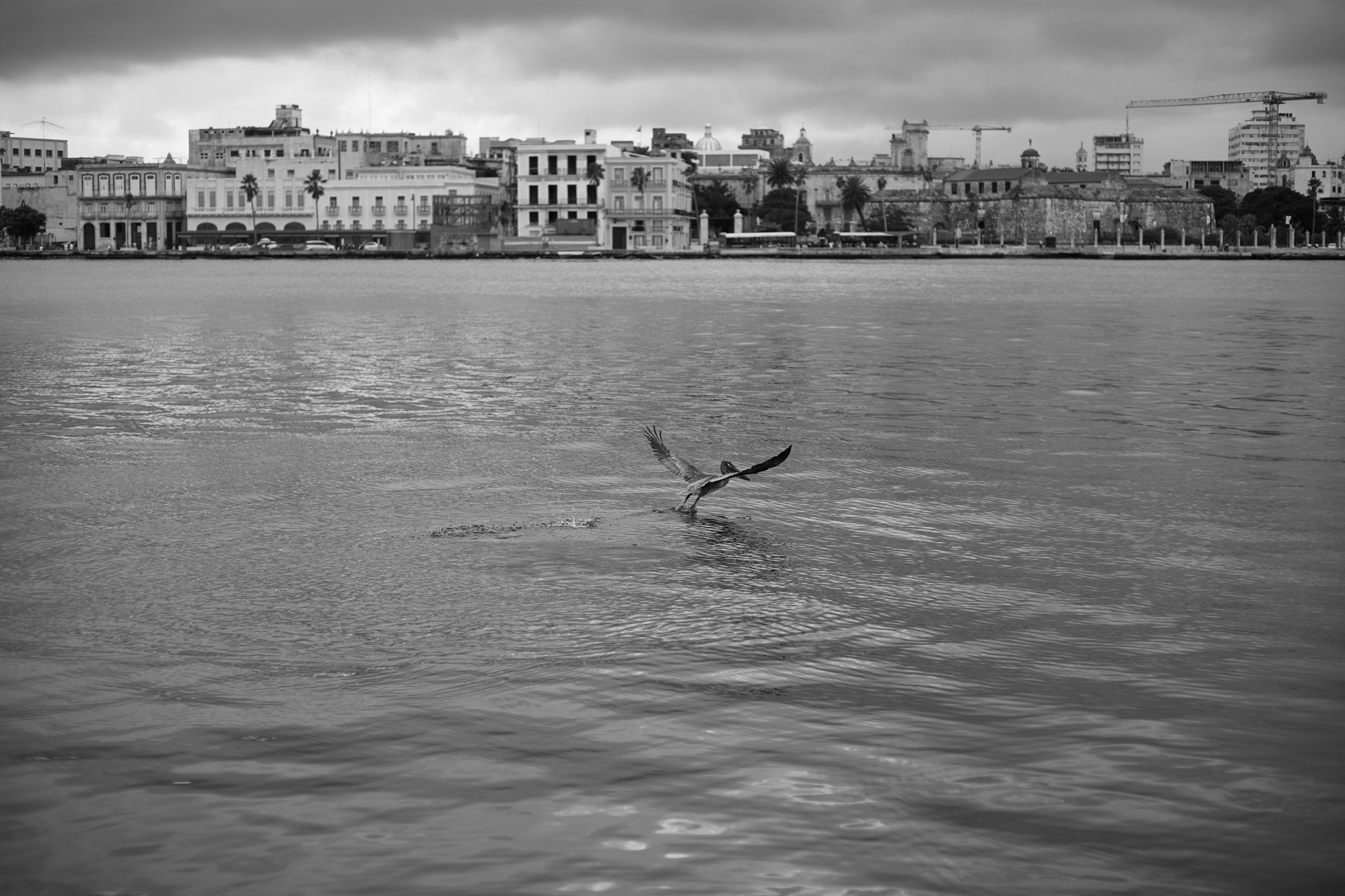 IMG_5975.jpg
