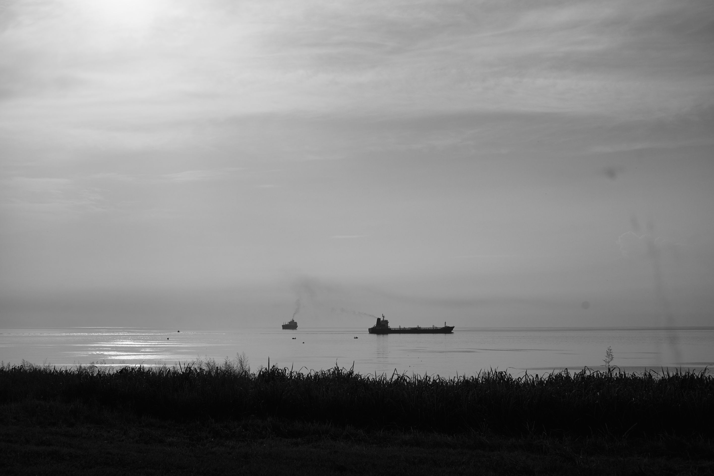 IMG_6269.jpg
