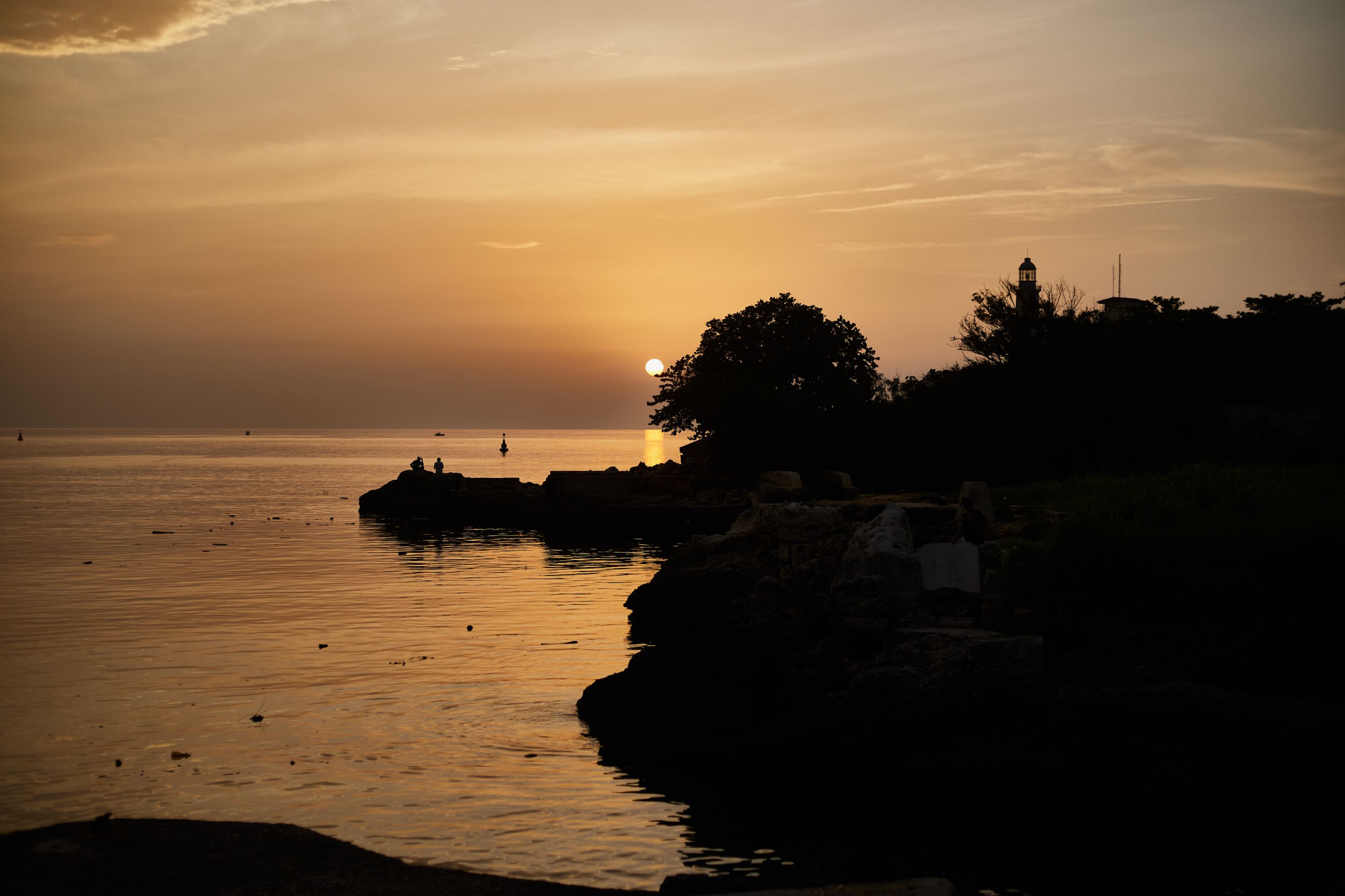 IMG_6796.jpg