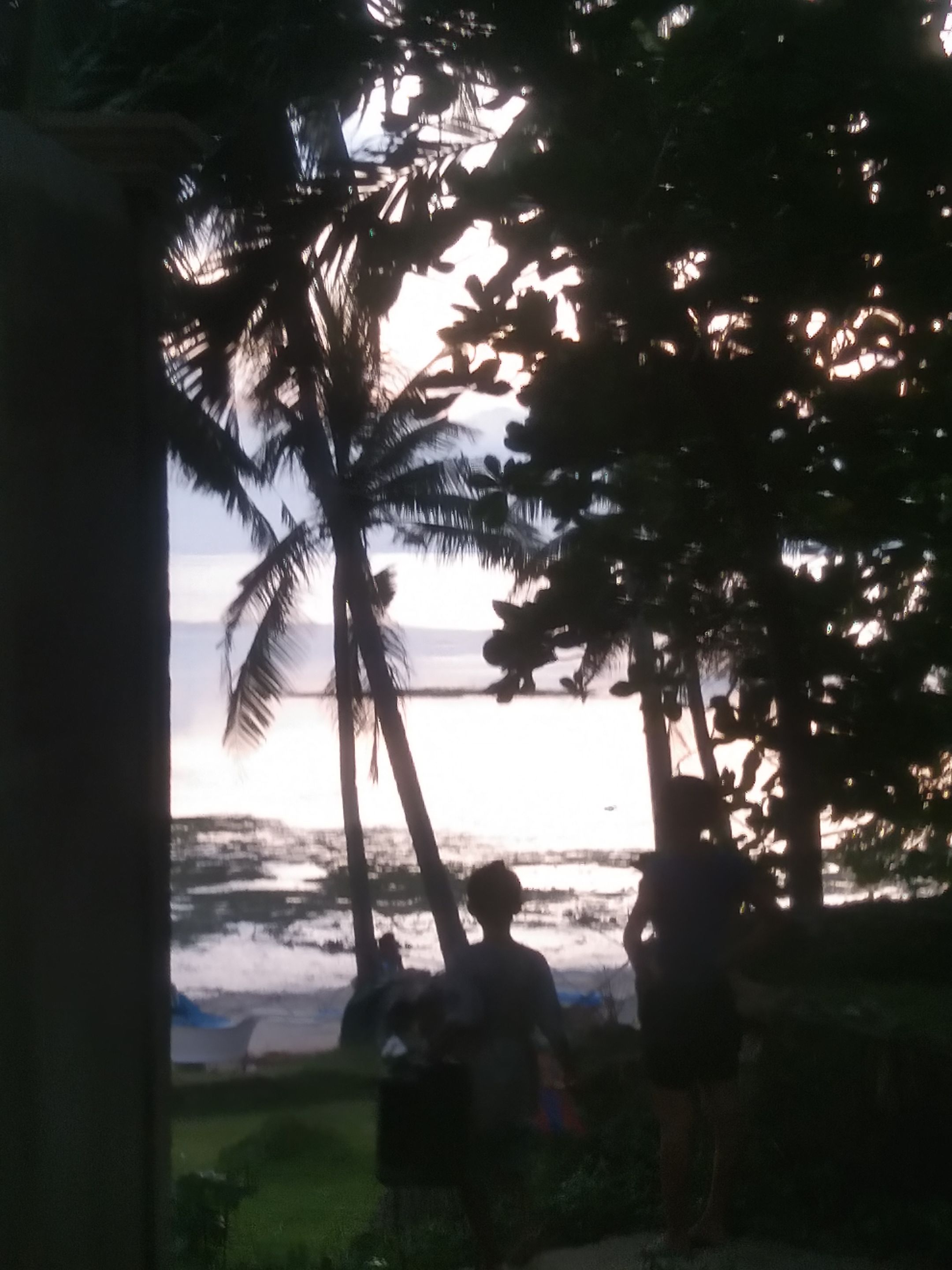 IMG_20250810_174419.jpg