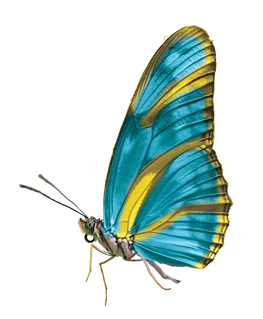 Espiritualidad12.jpg