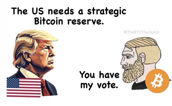 you have my vote.jpg