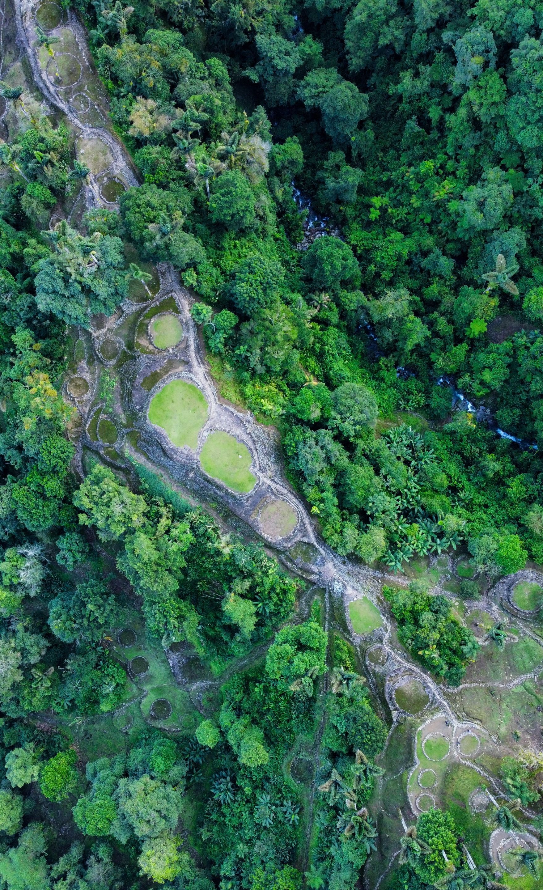 dji_fly_20231011_065618_33_1697025533787_photo_optimized.jpg