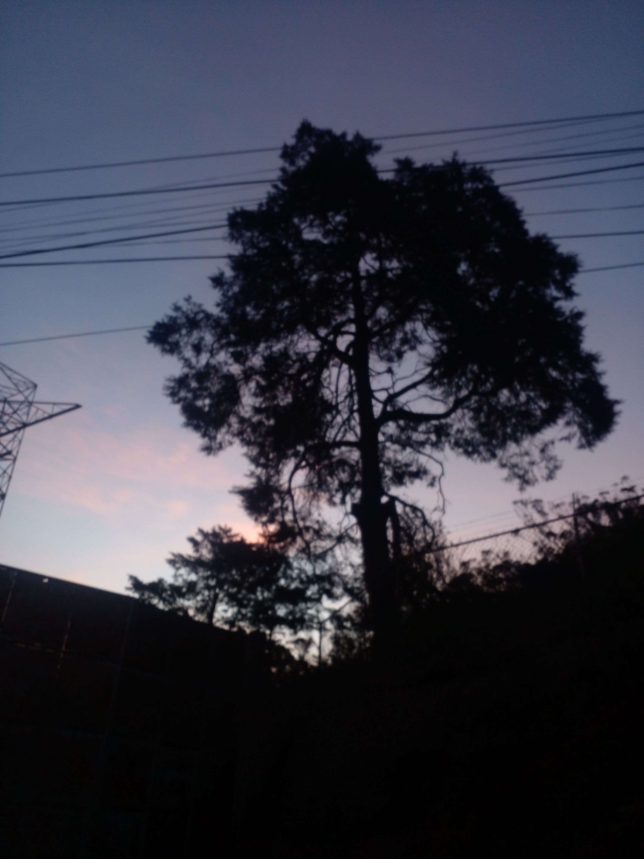 20250429_060151.jpg