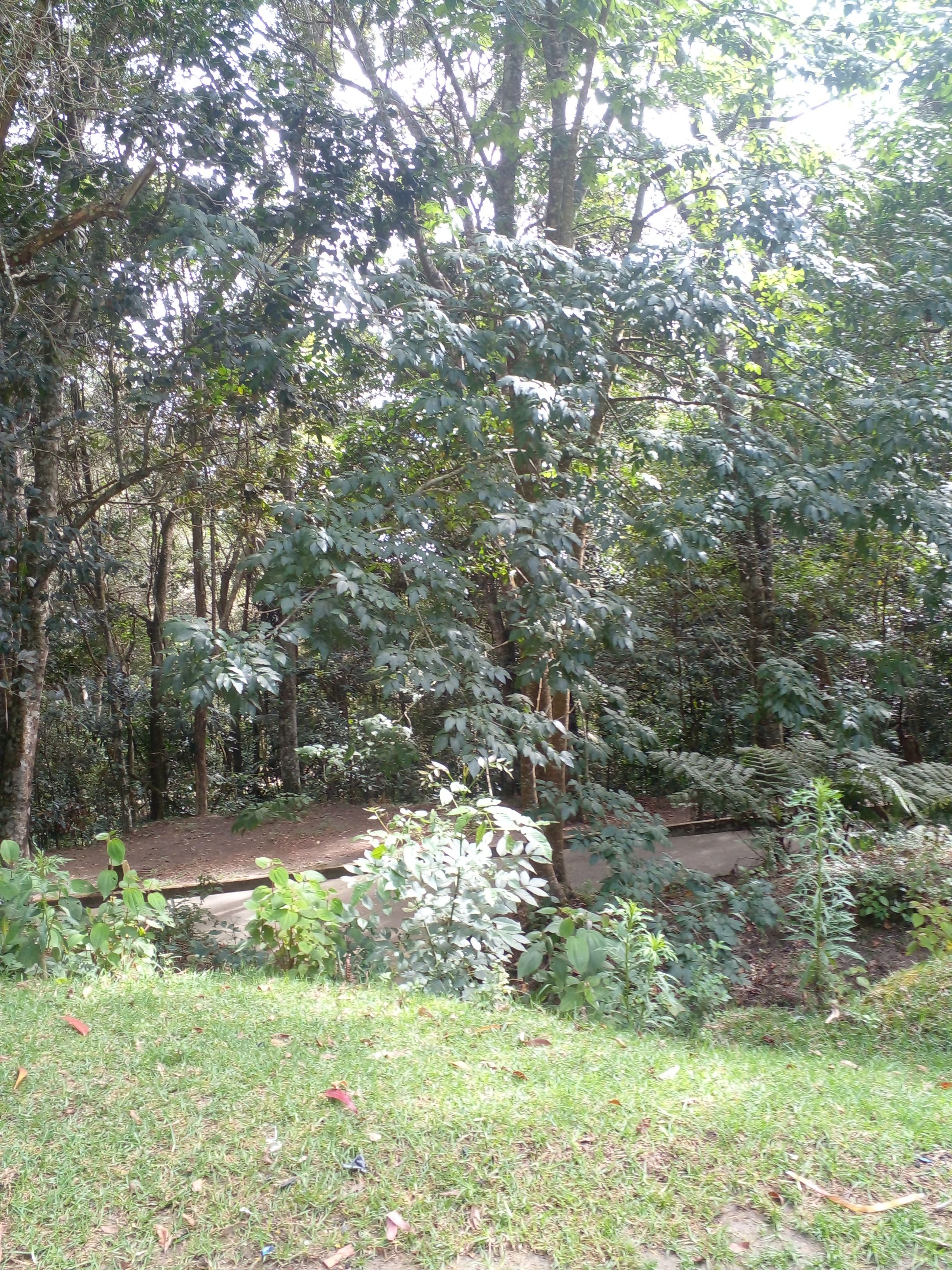20250509_093430.jpg