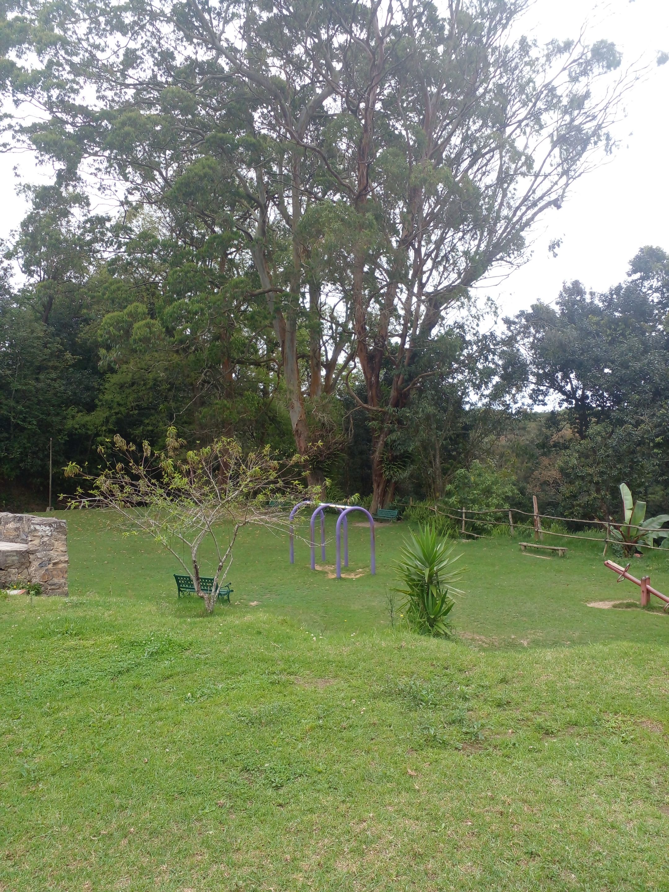 20250509_111017.jpg