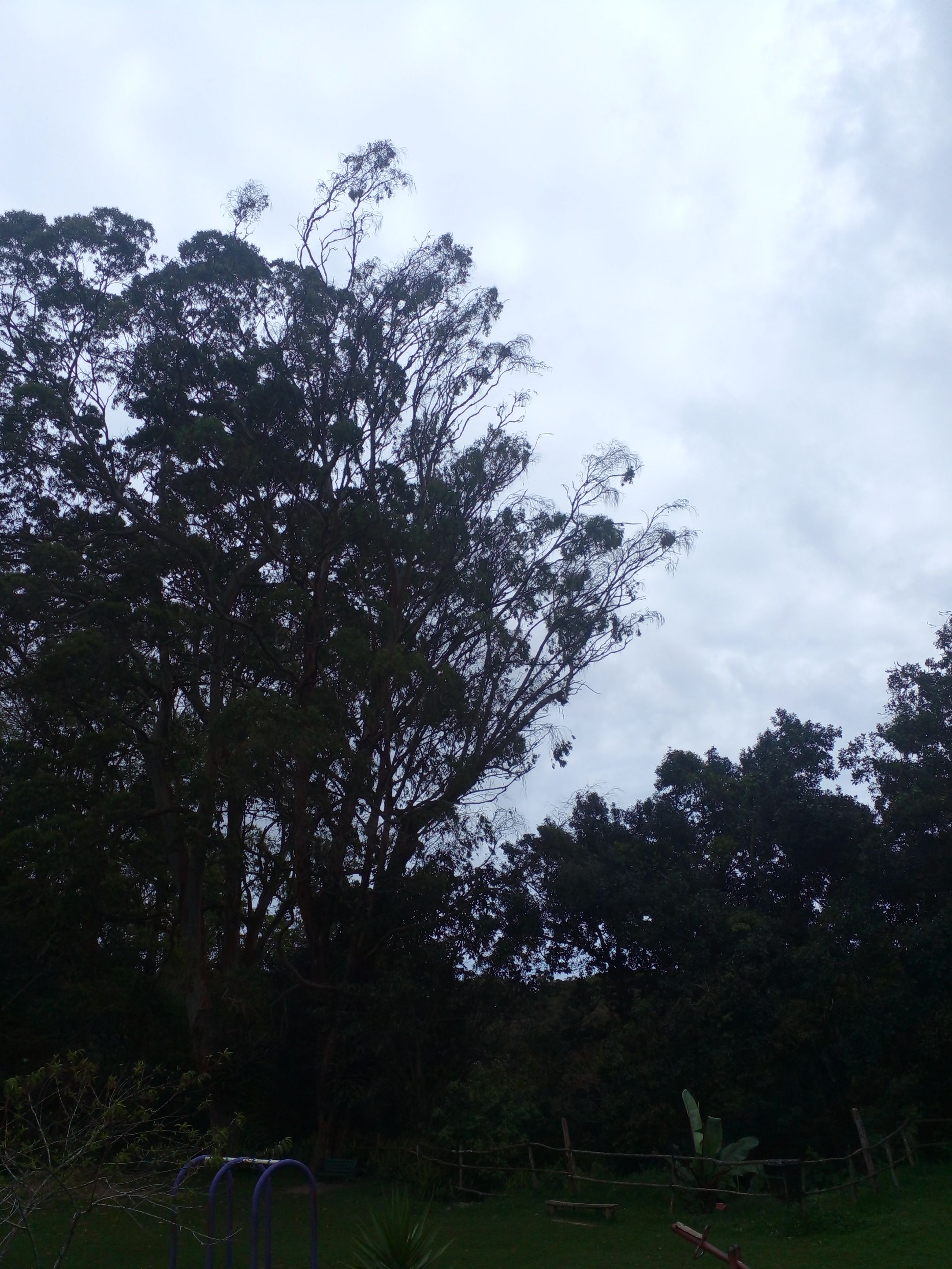 20250509_111014.jpg