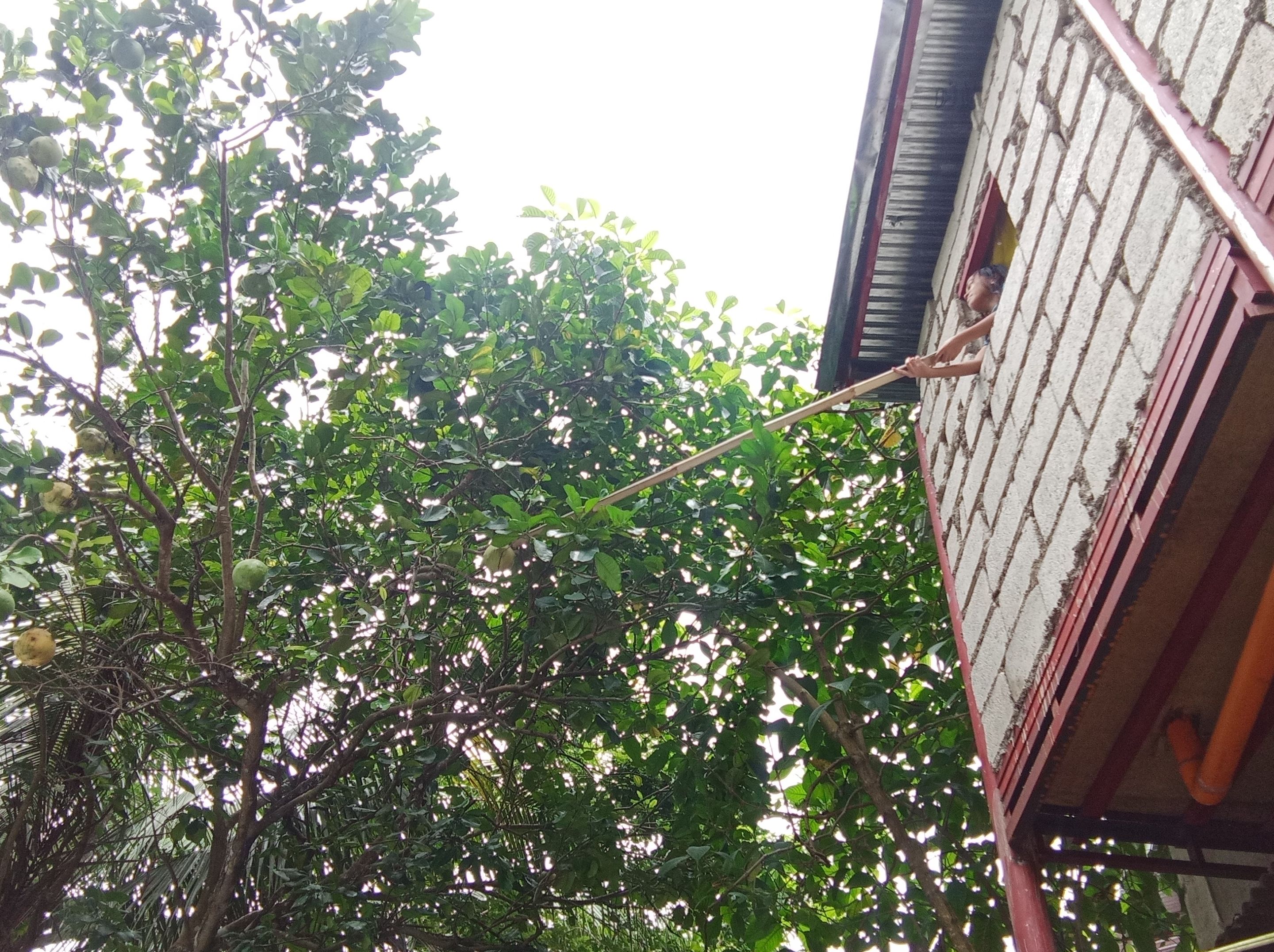 IMG_20250913_202352.jpg