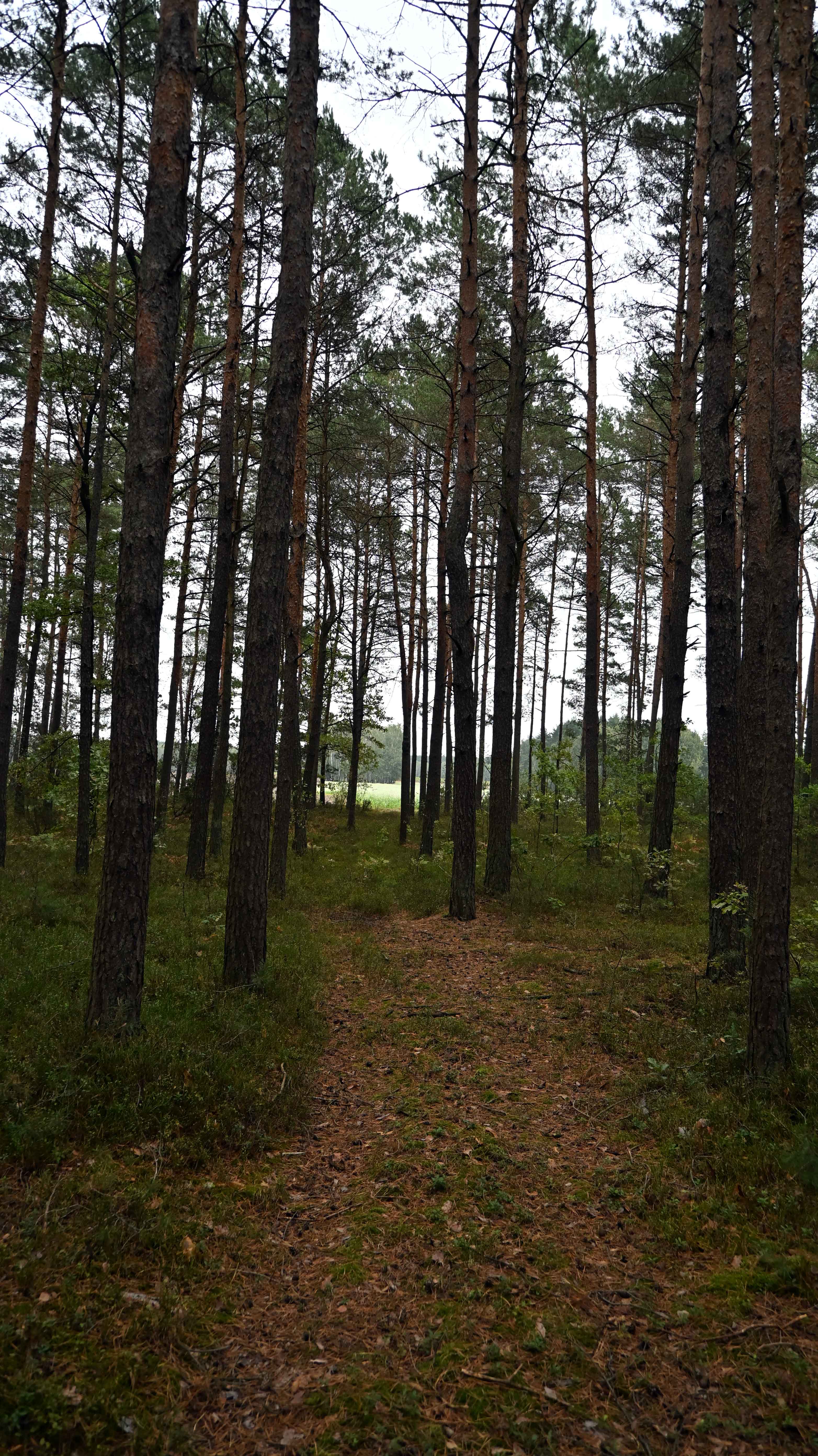 a00a.jpg