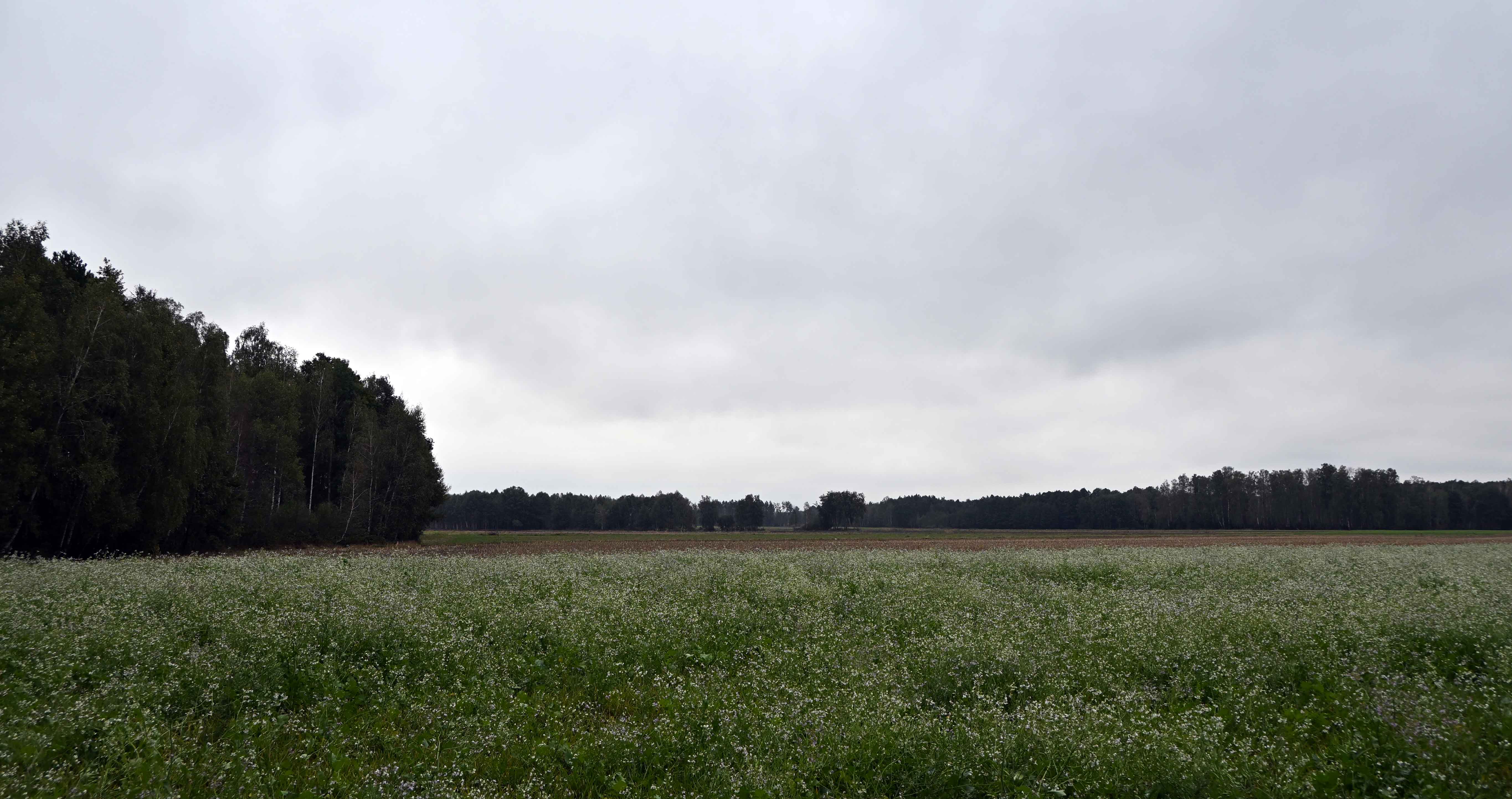 a03.jpg
