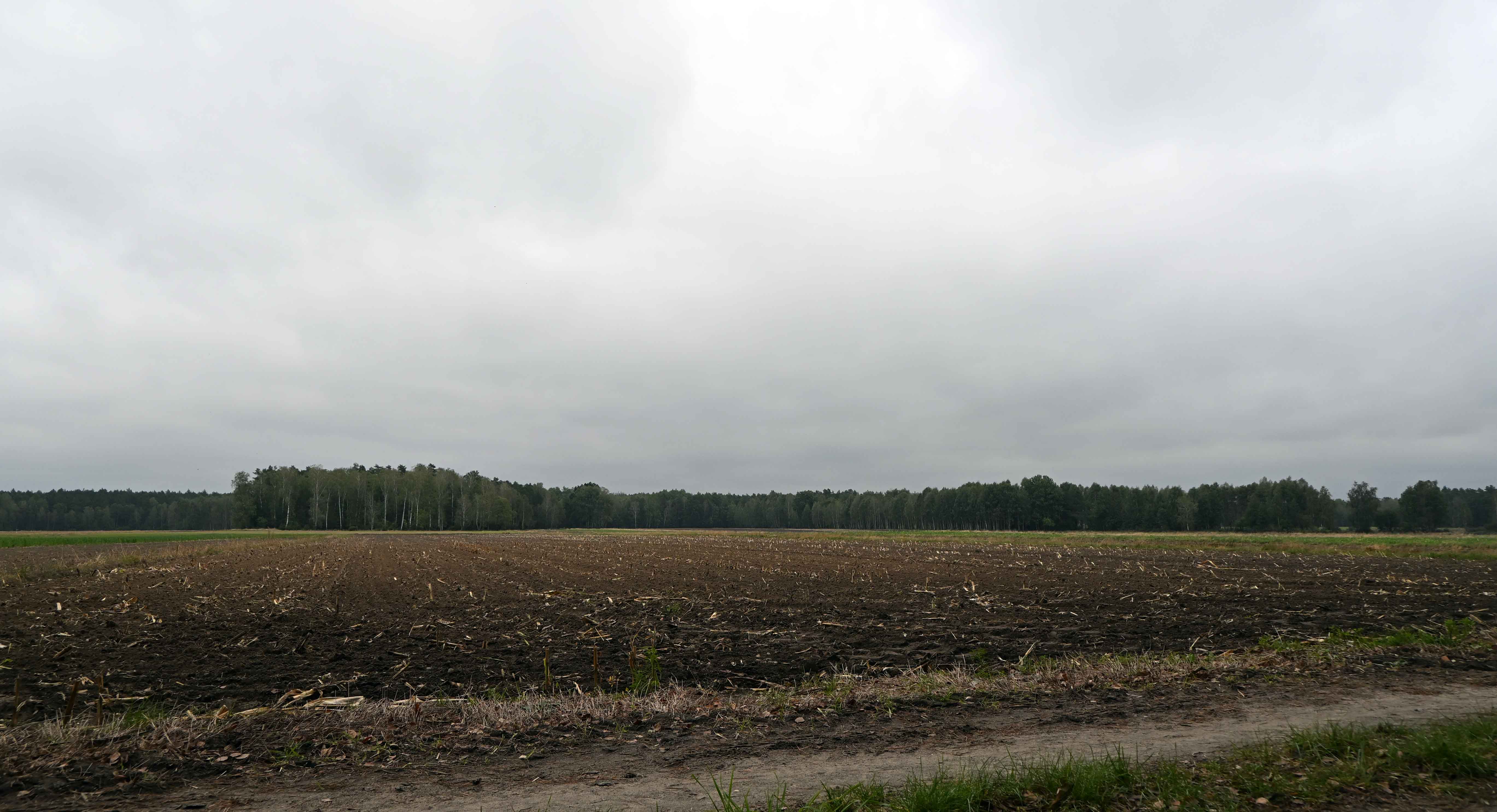 a01.jpg