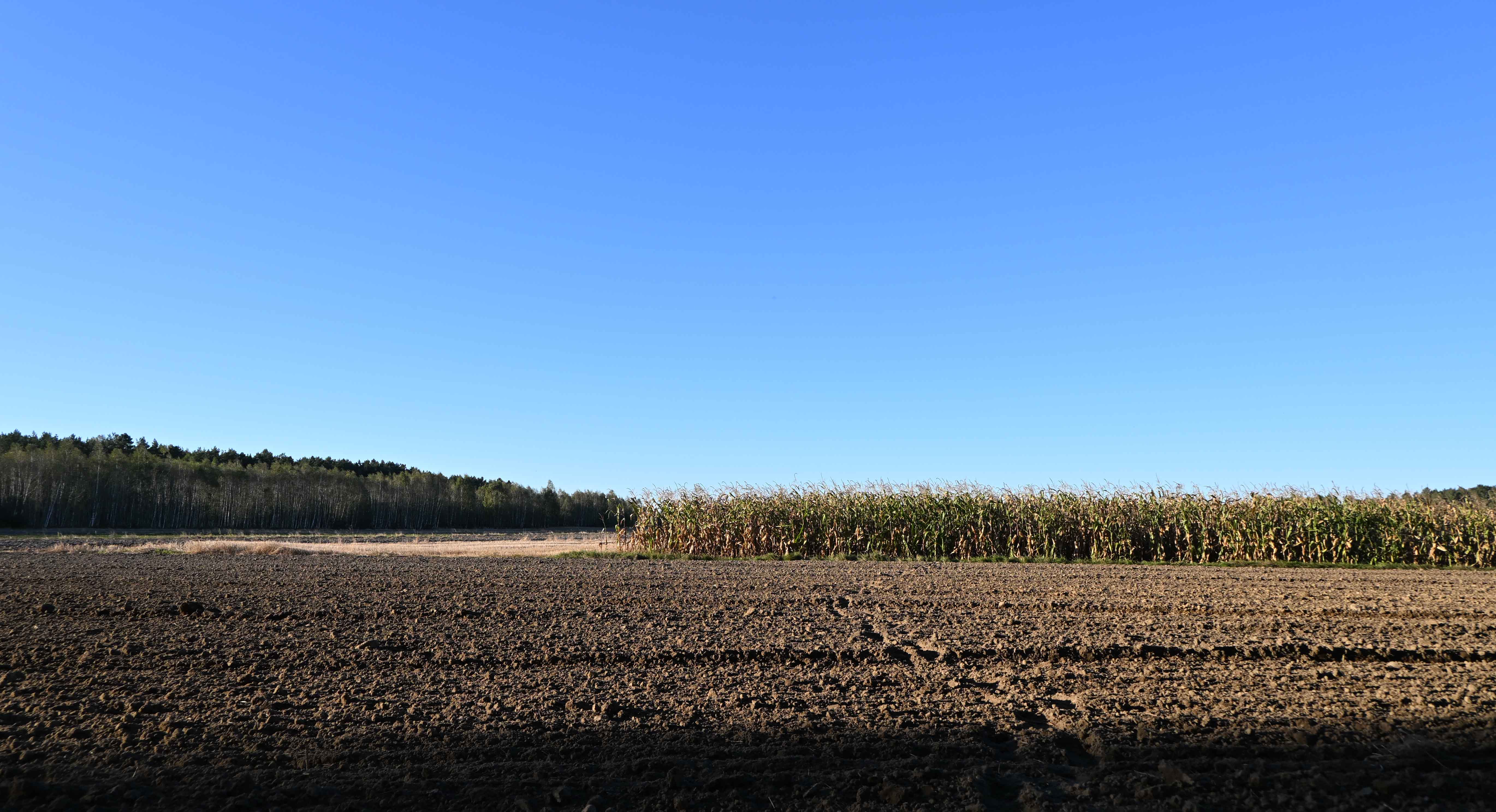 a06.jpg