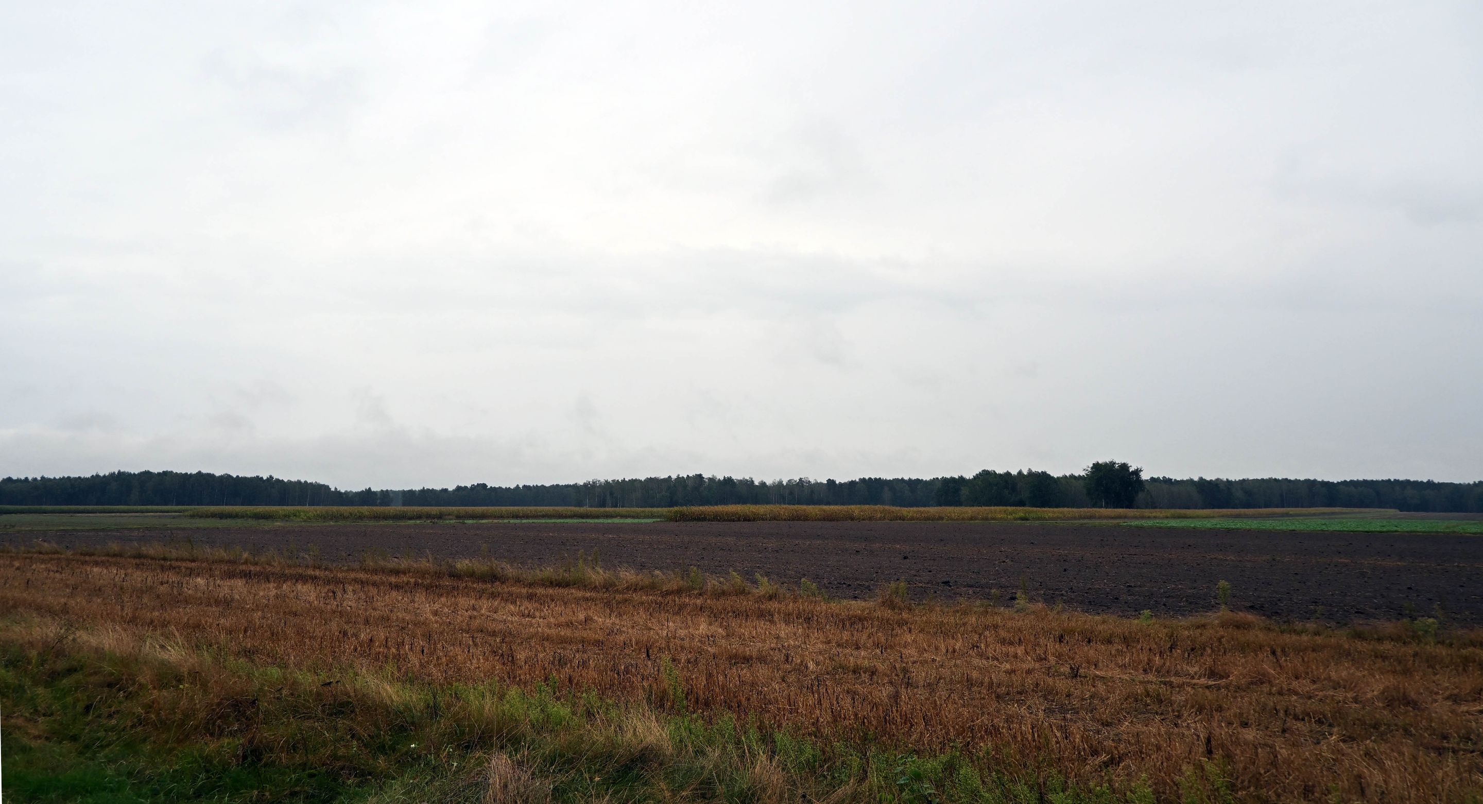 a07.jpg
