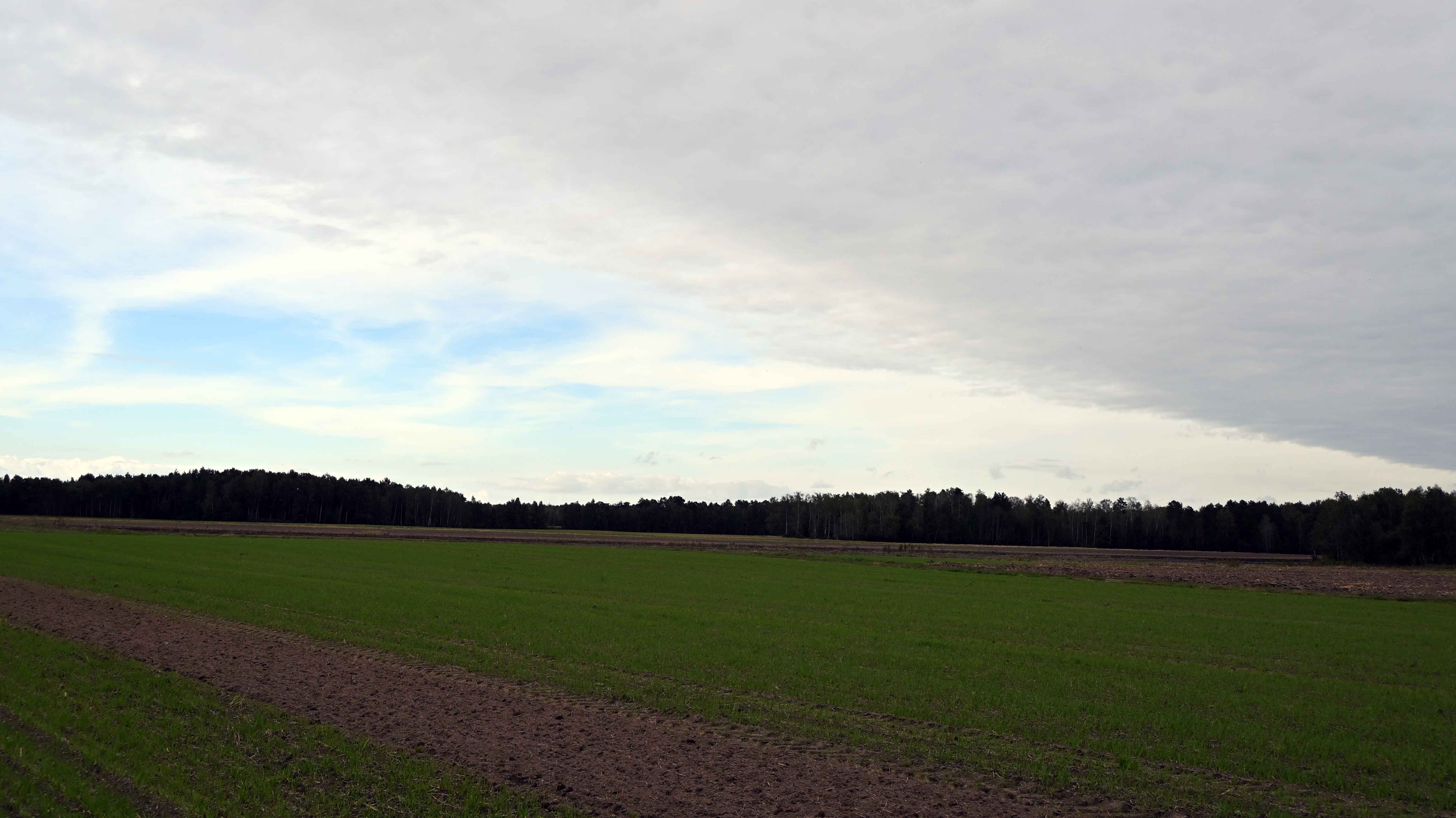 a04.jpg