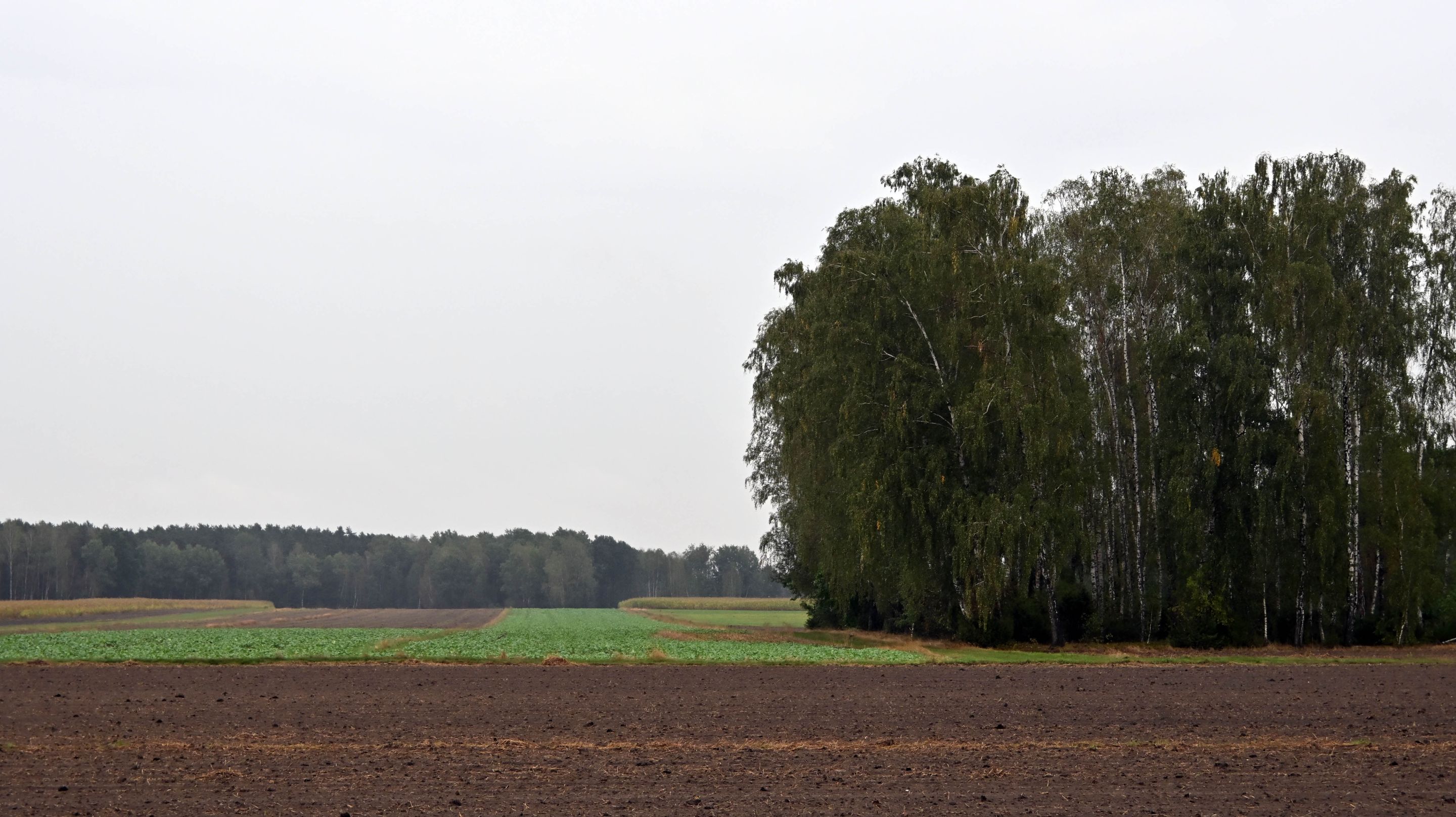 a05.jpg