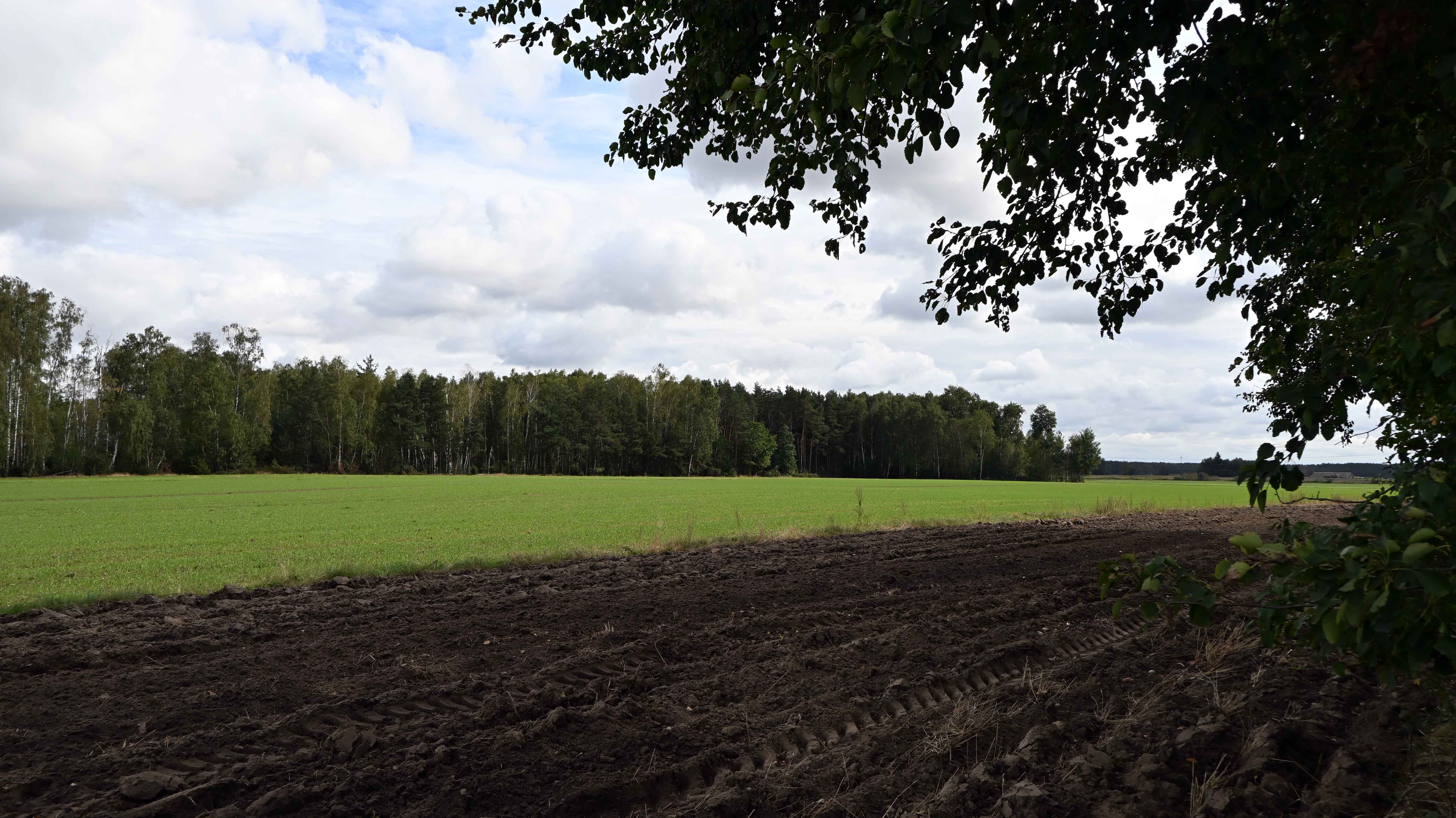 a06.jpg