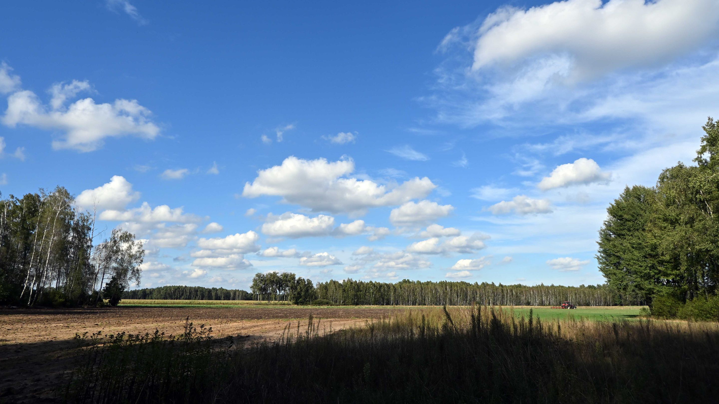 a01.jpg