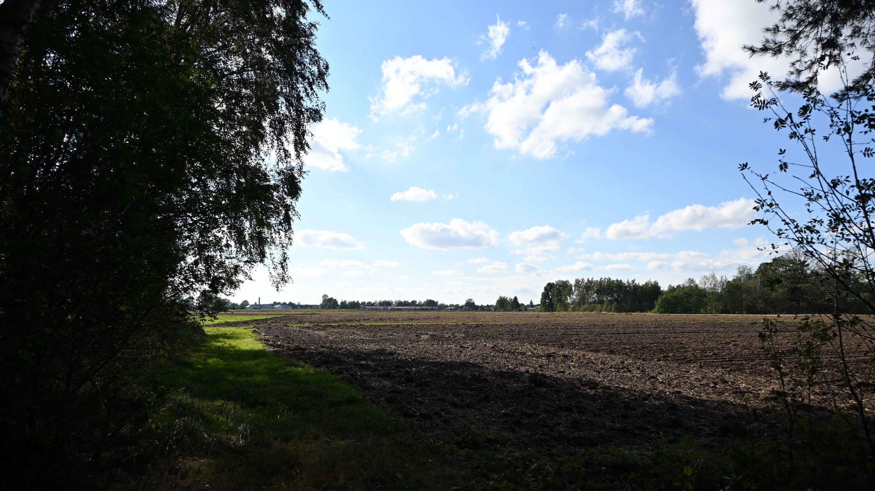 a07.jpg