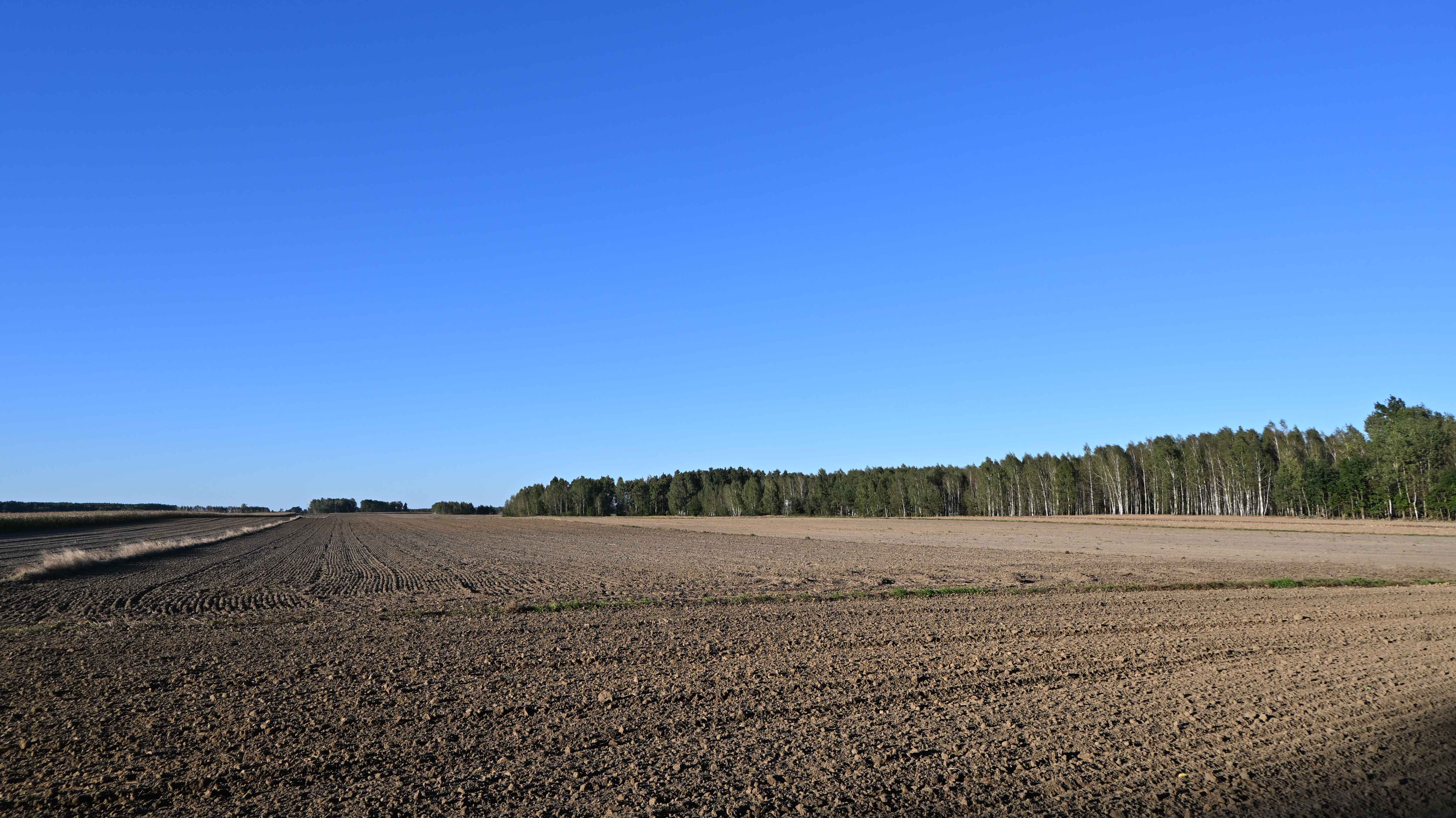 a07.jpg