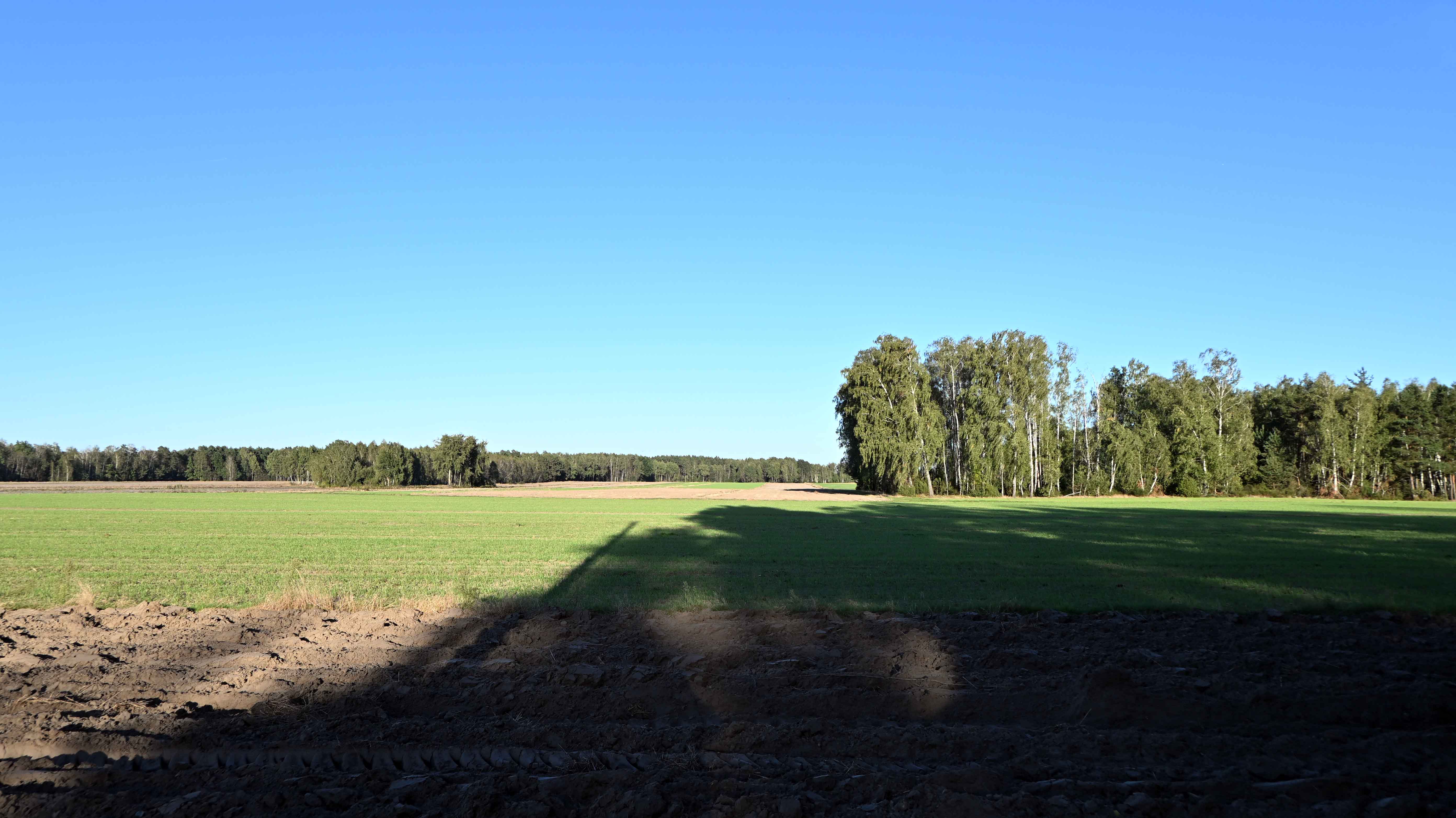 a05.jpg