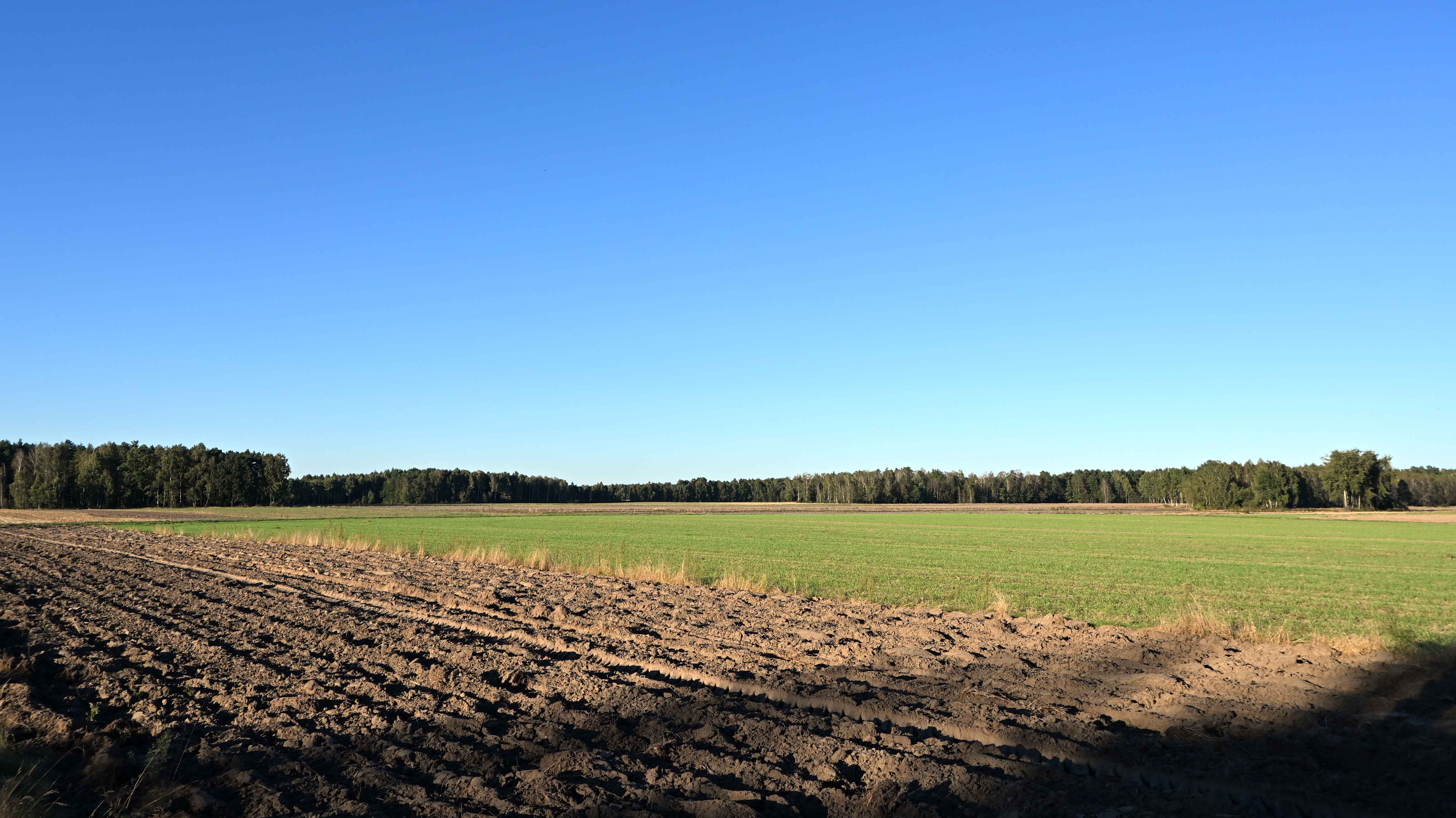 a04.jpg