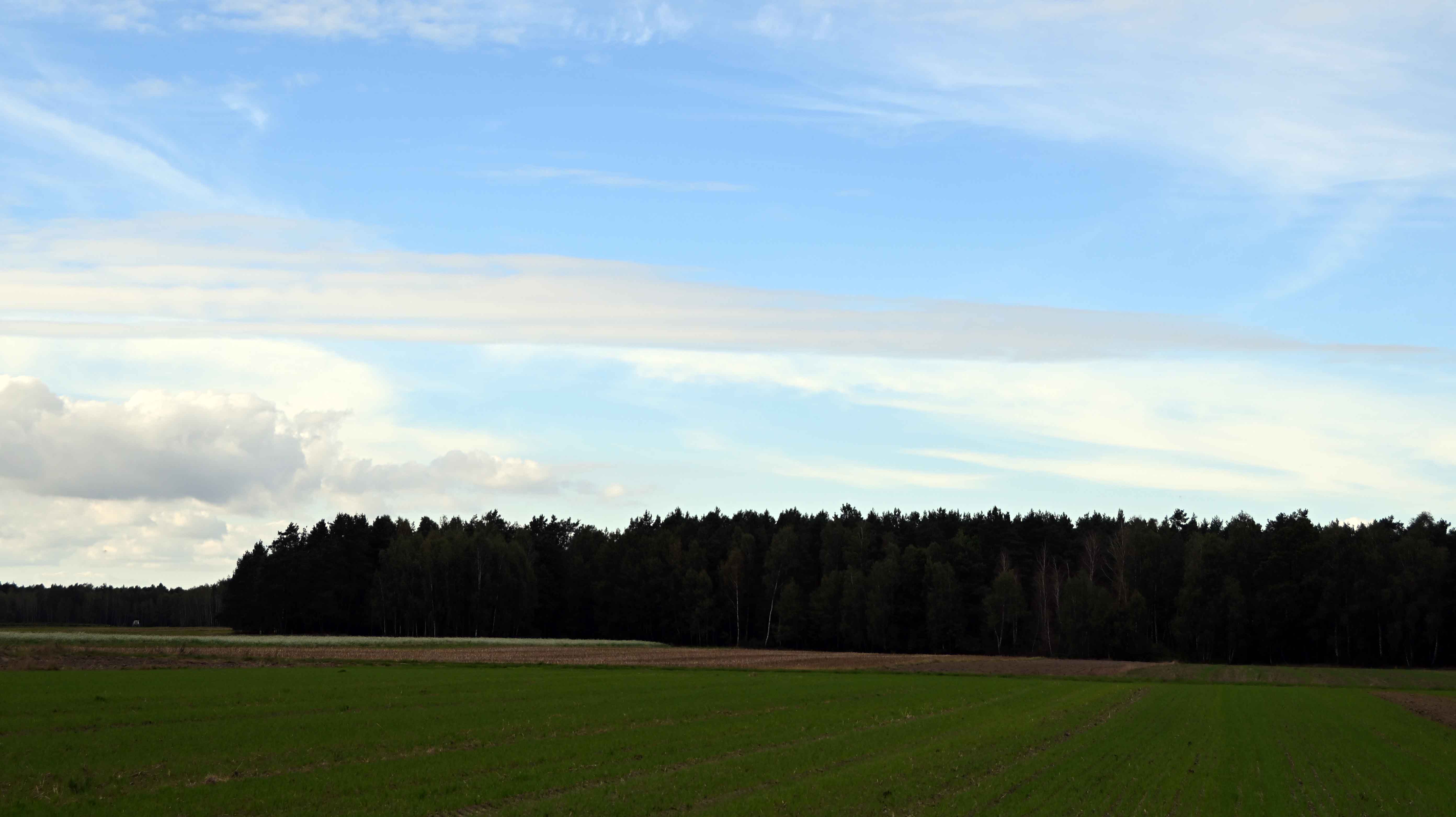 a01.jpg