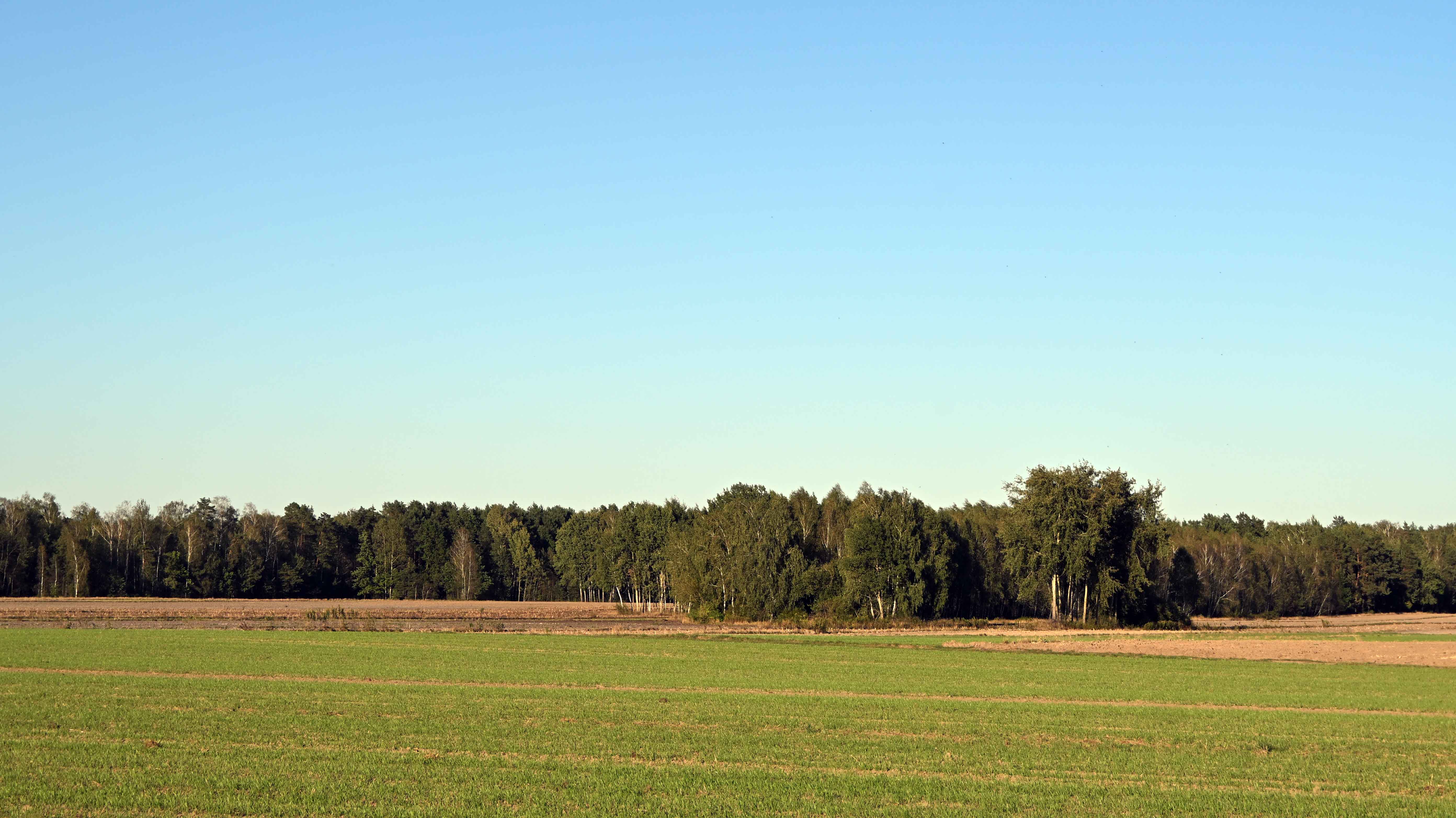 a02.jpg