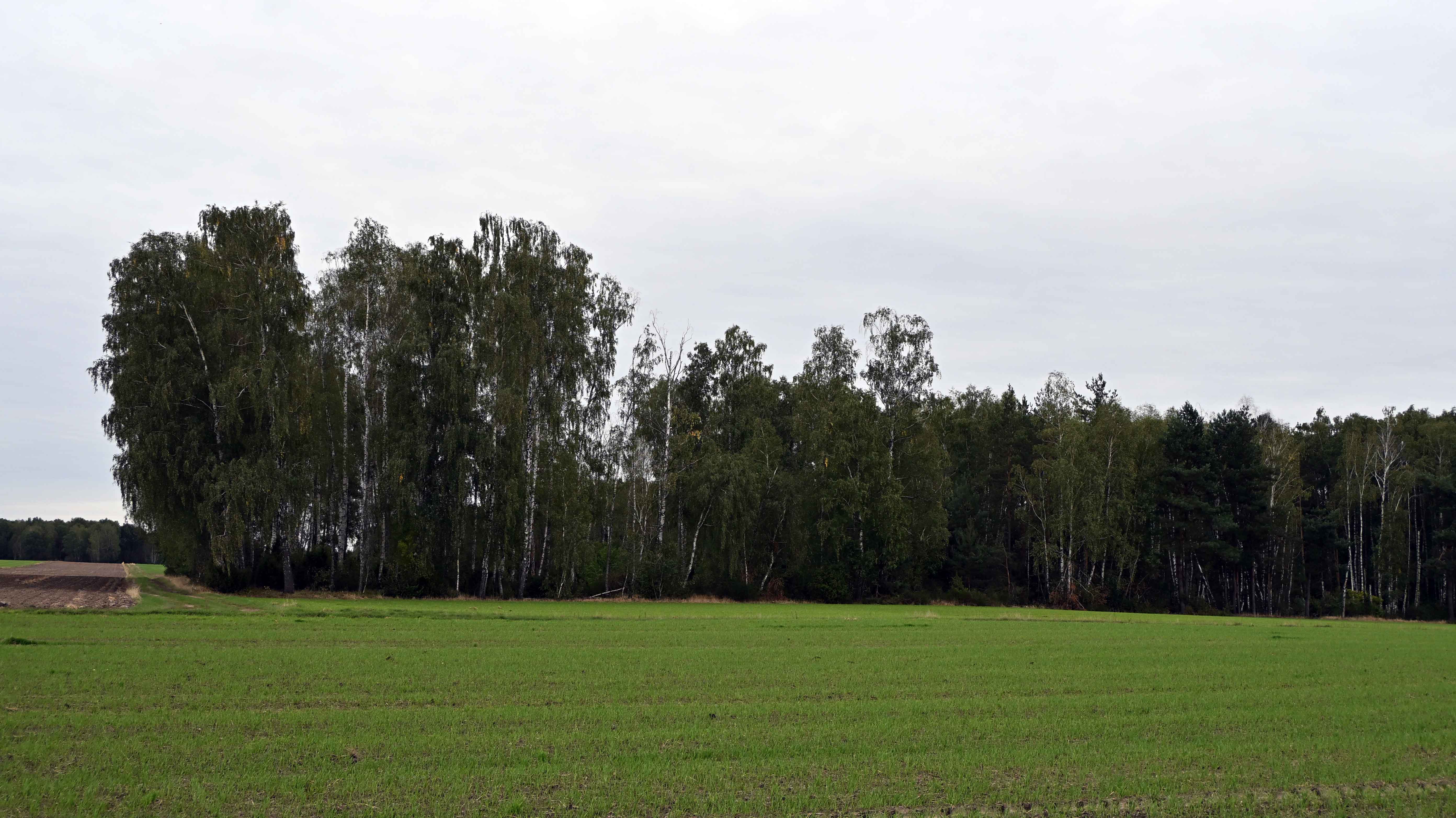 a03.jpg