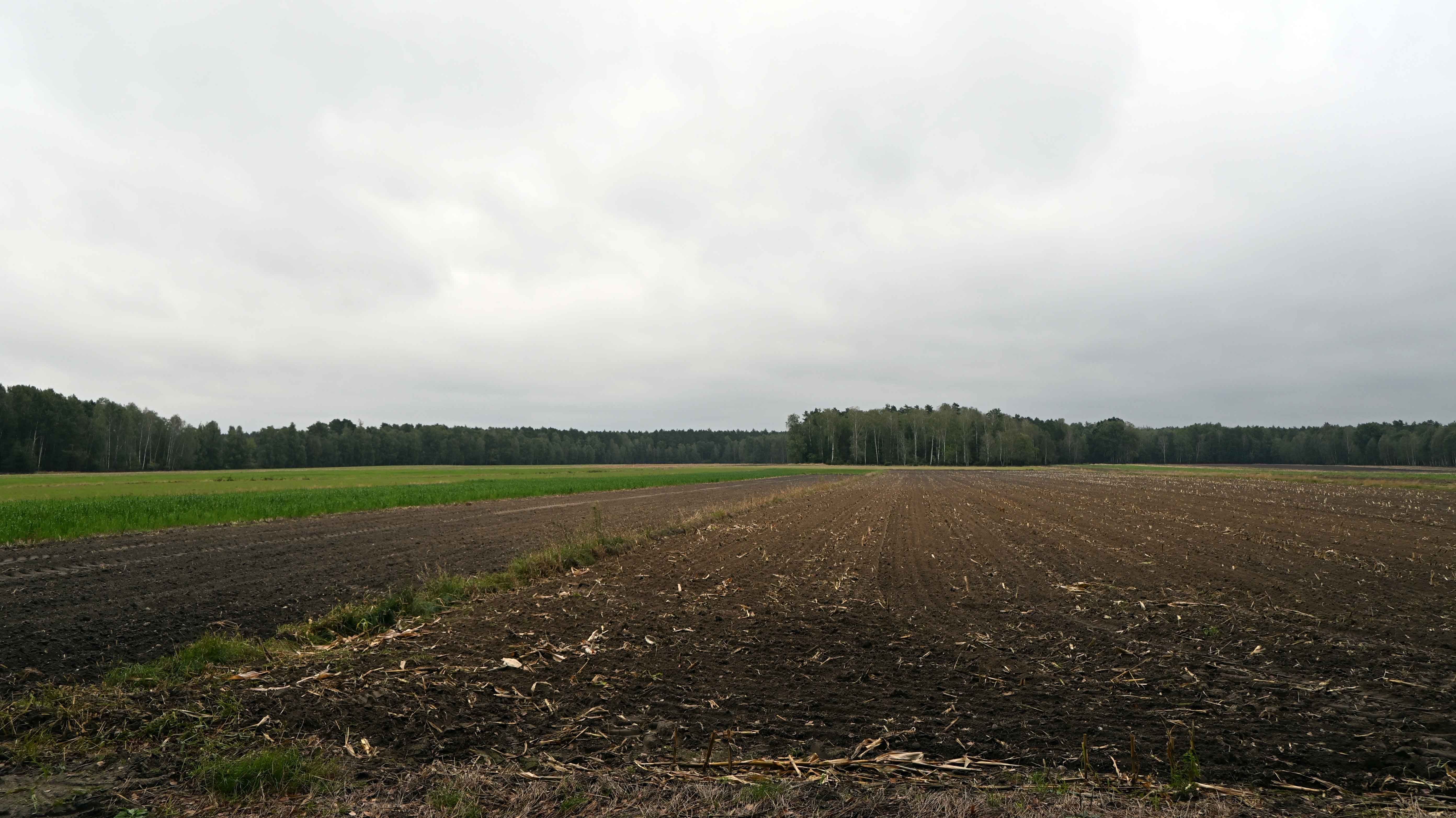 a02.jpg