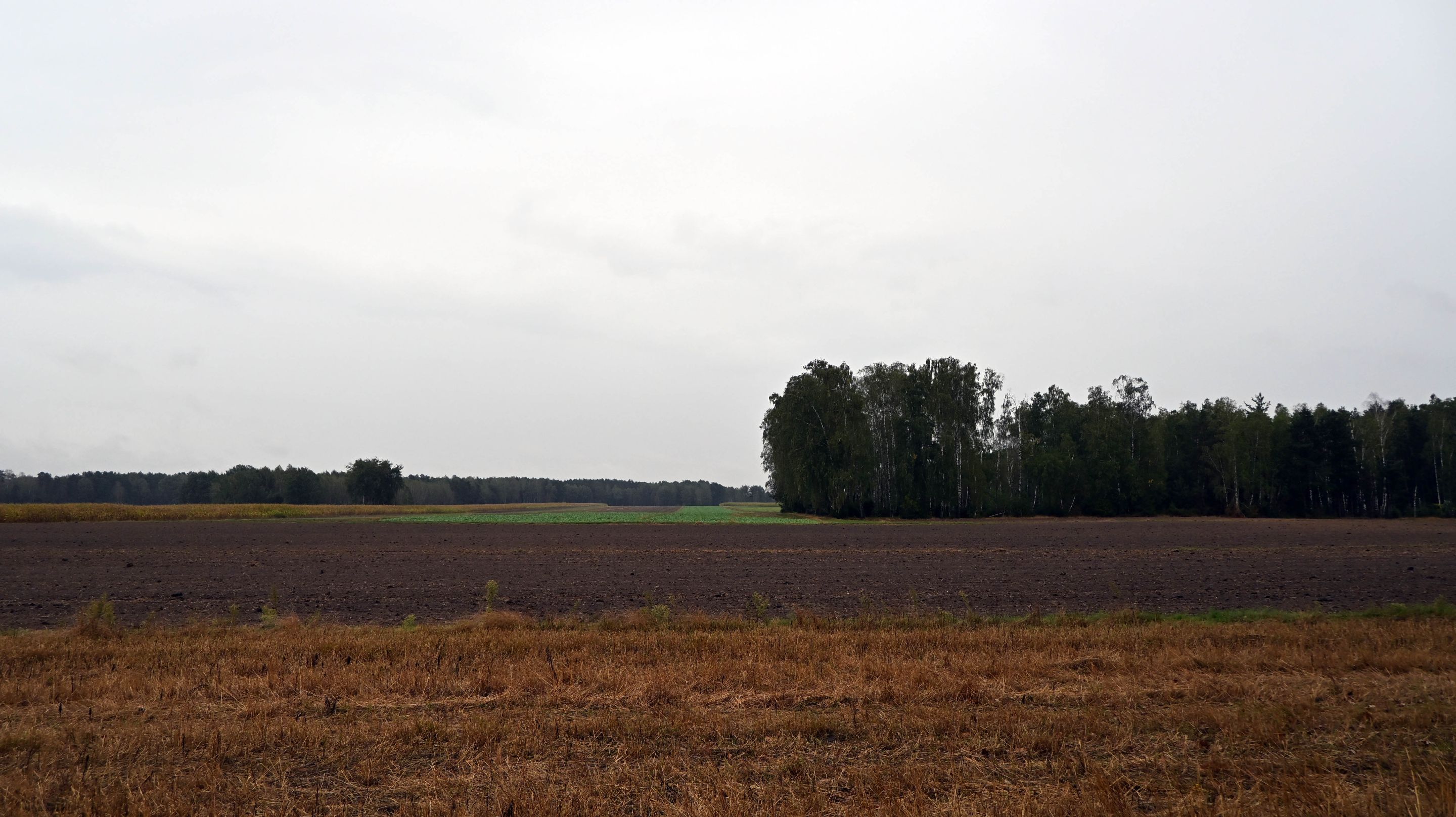a06.jpg