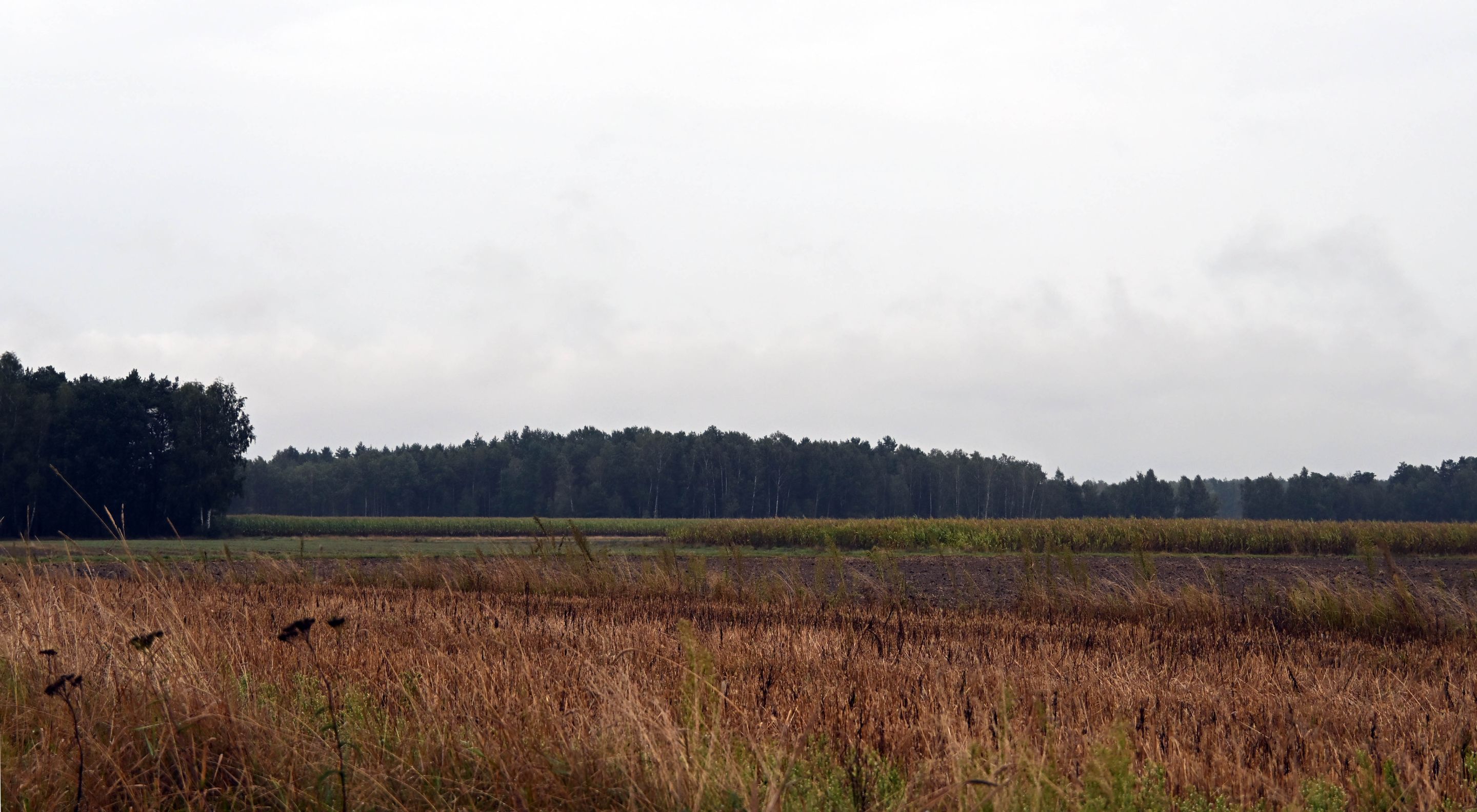 a04.jpg
